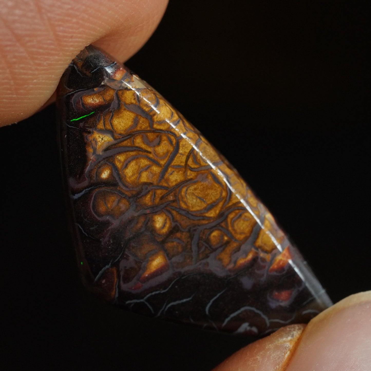 Boulder Opal Cut Stone