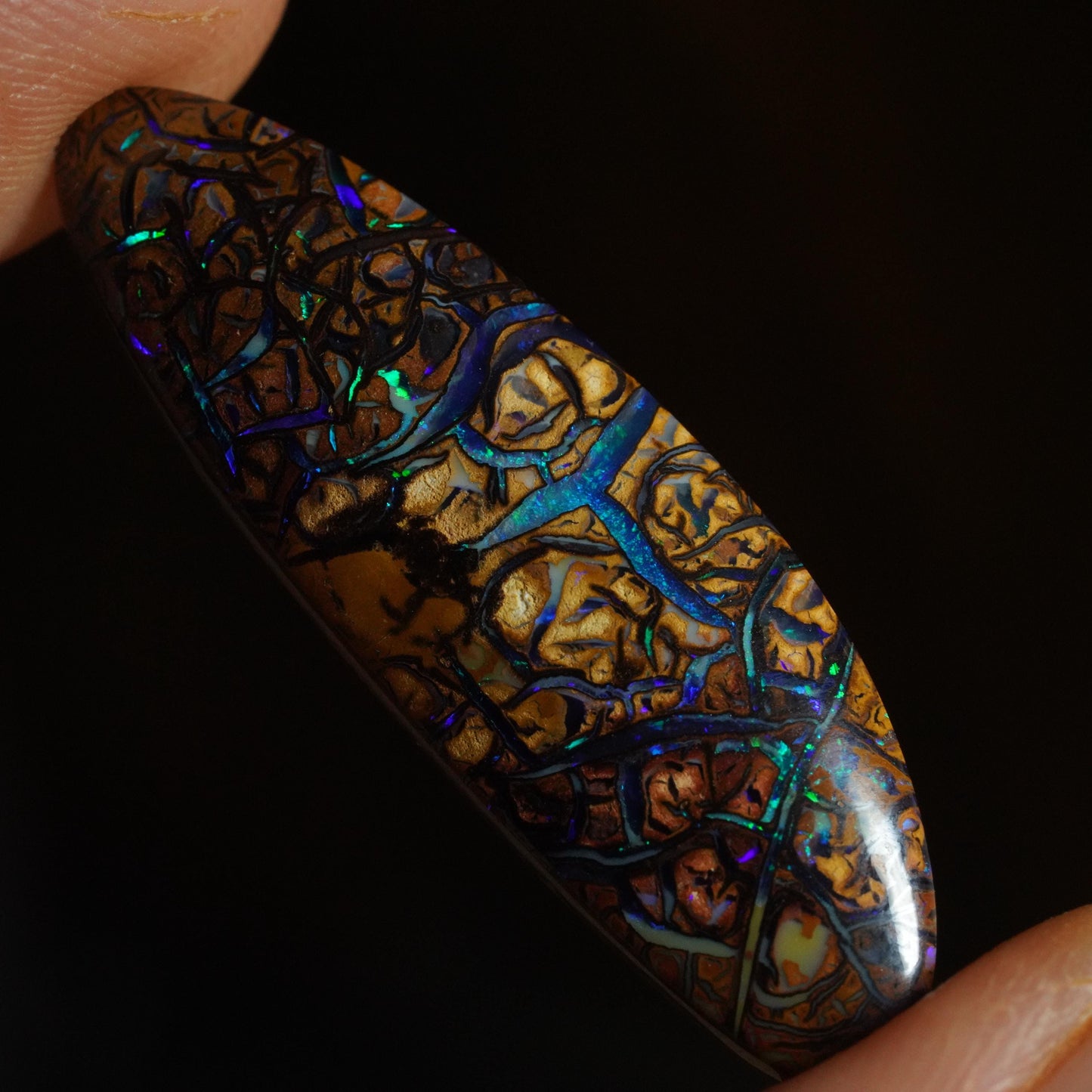 Boulder Opal Cut Stone