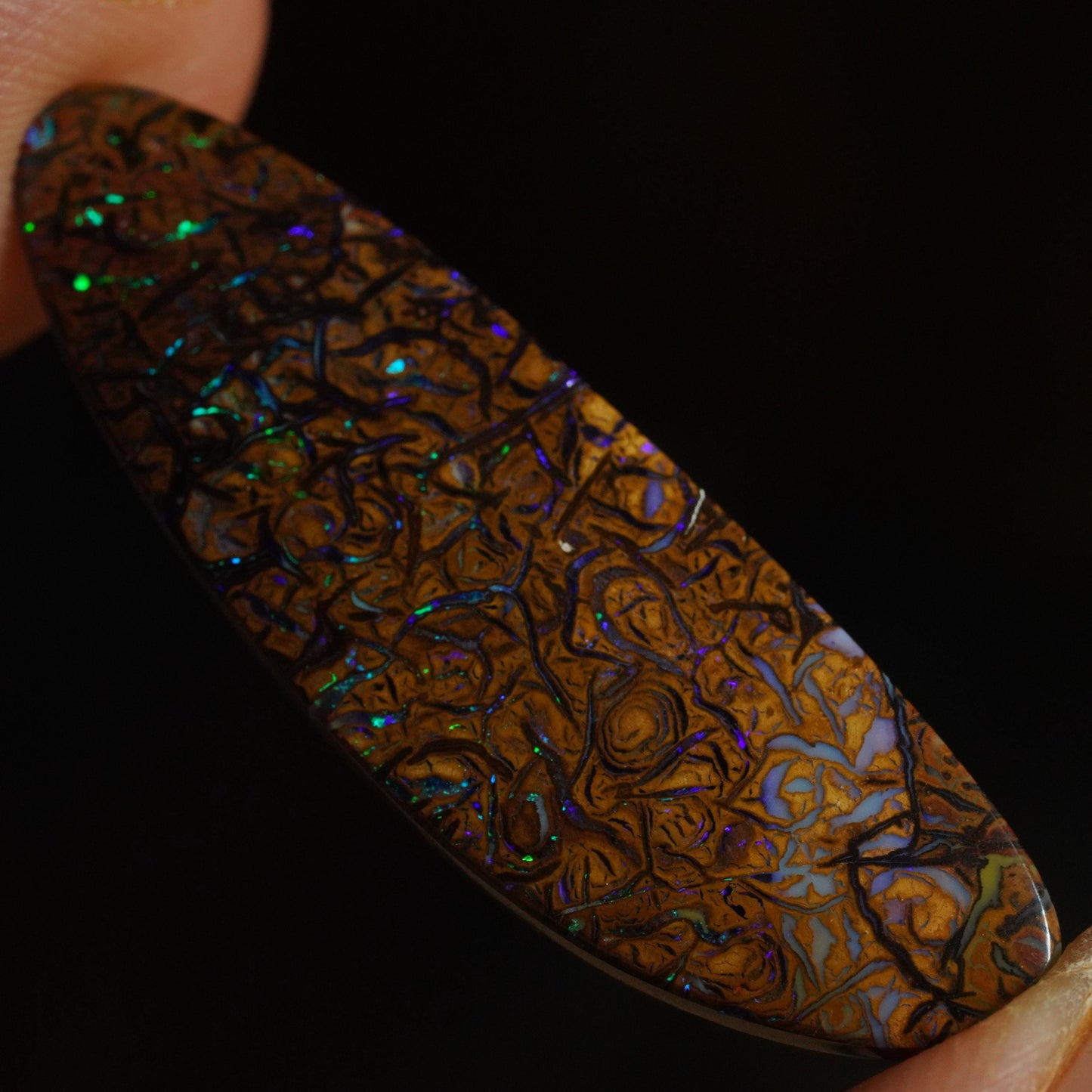 Boulder Opal Cut Stone