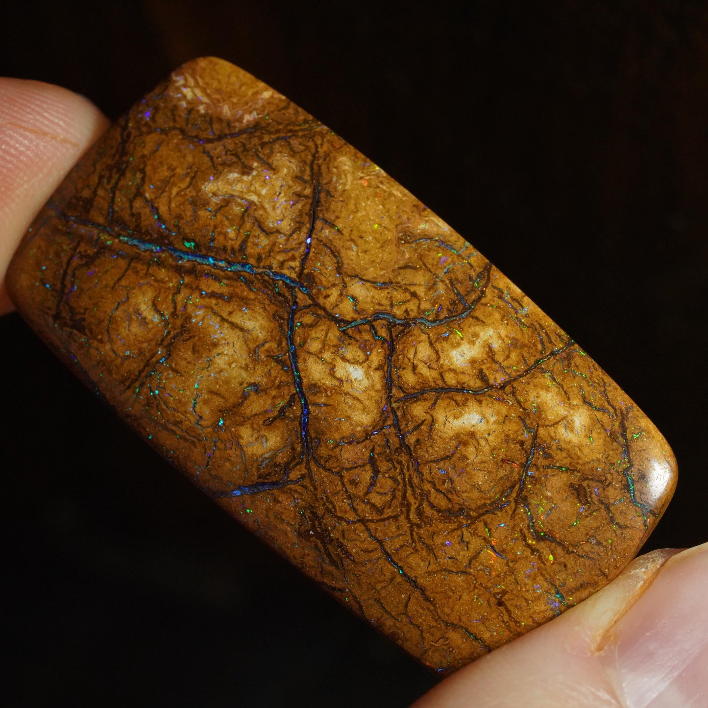 Boulder Opal Cut Stone