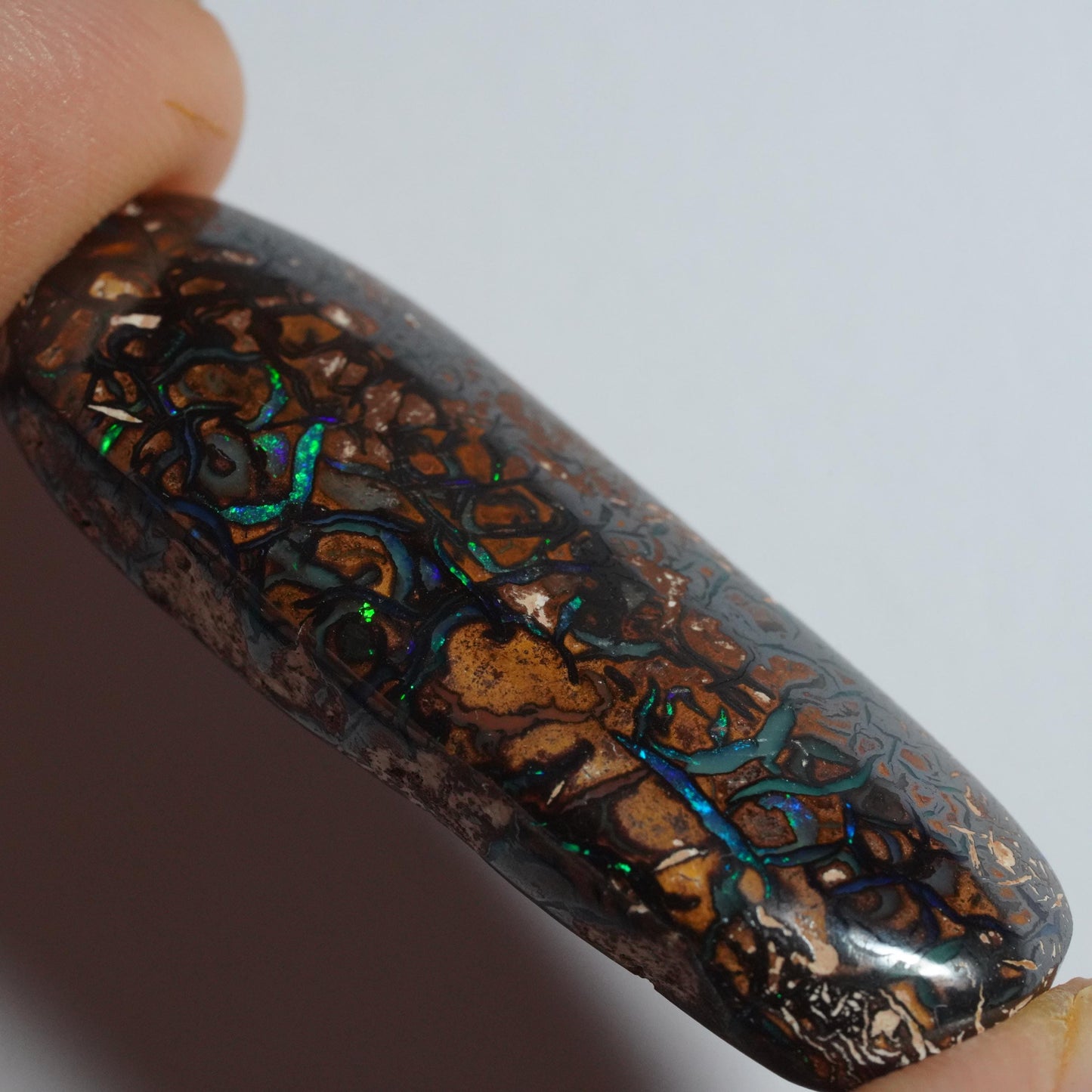 Boulder Opal Cut Stone
