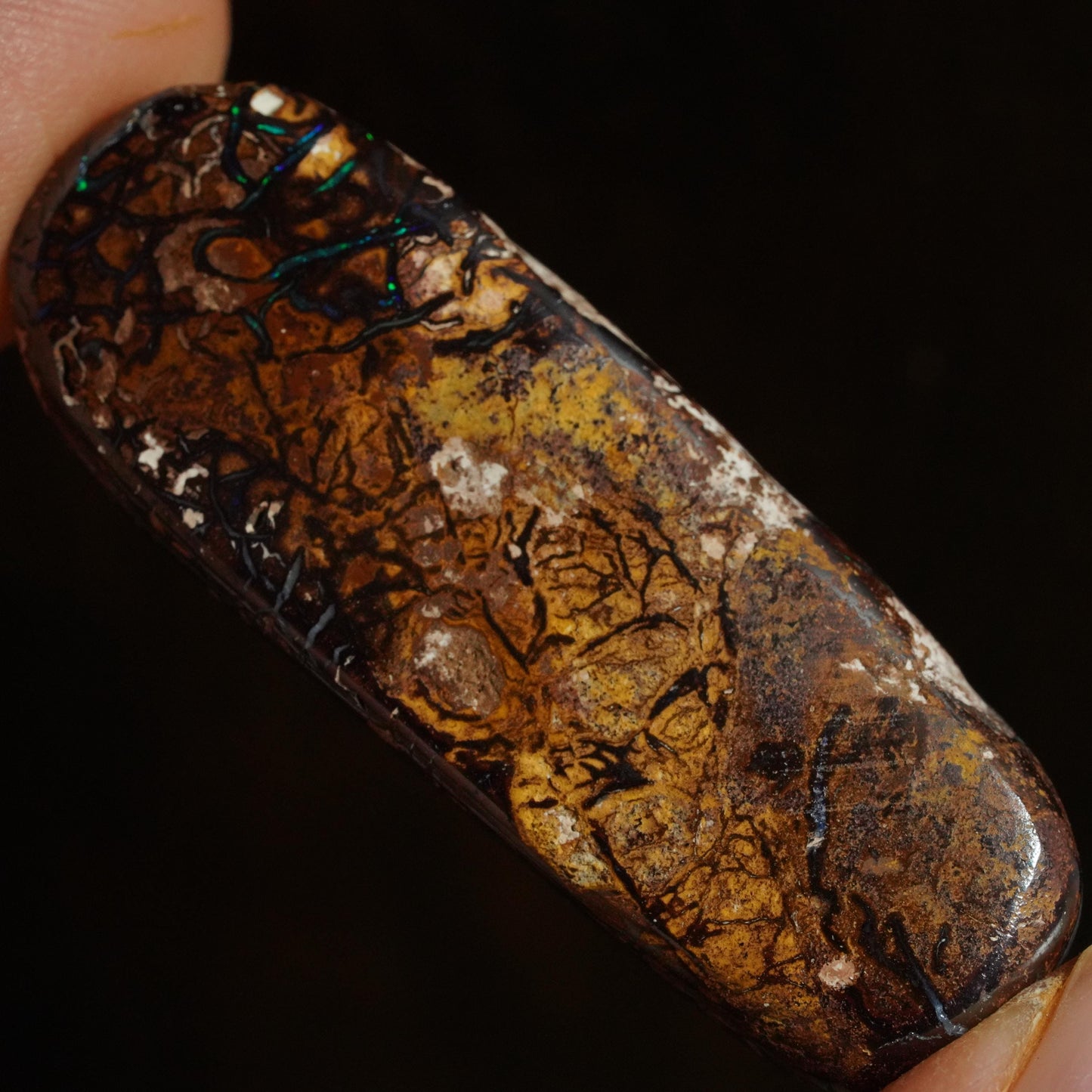 Boulder Opal Cut Stone