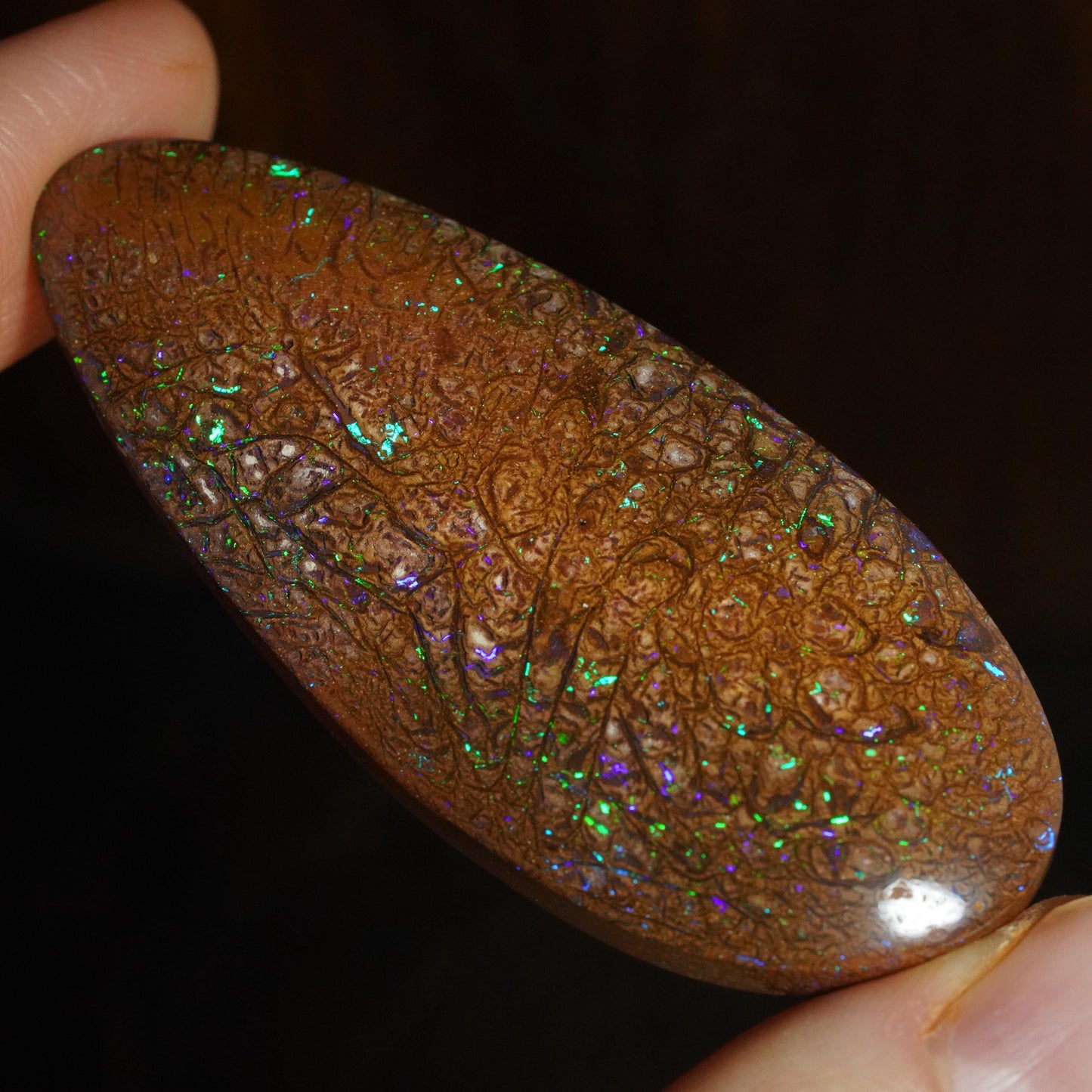 Boulder Opal Cut Stone