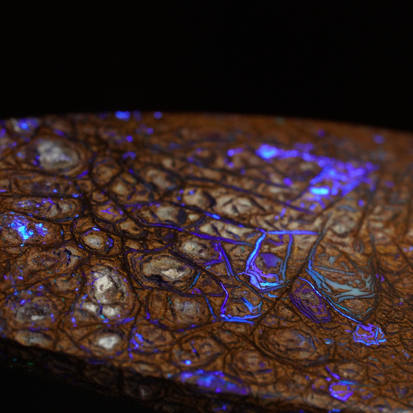 Boulder Opal Cut Stone