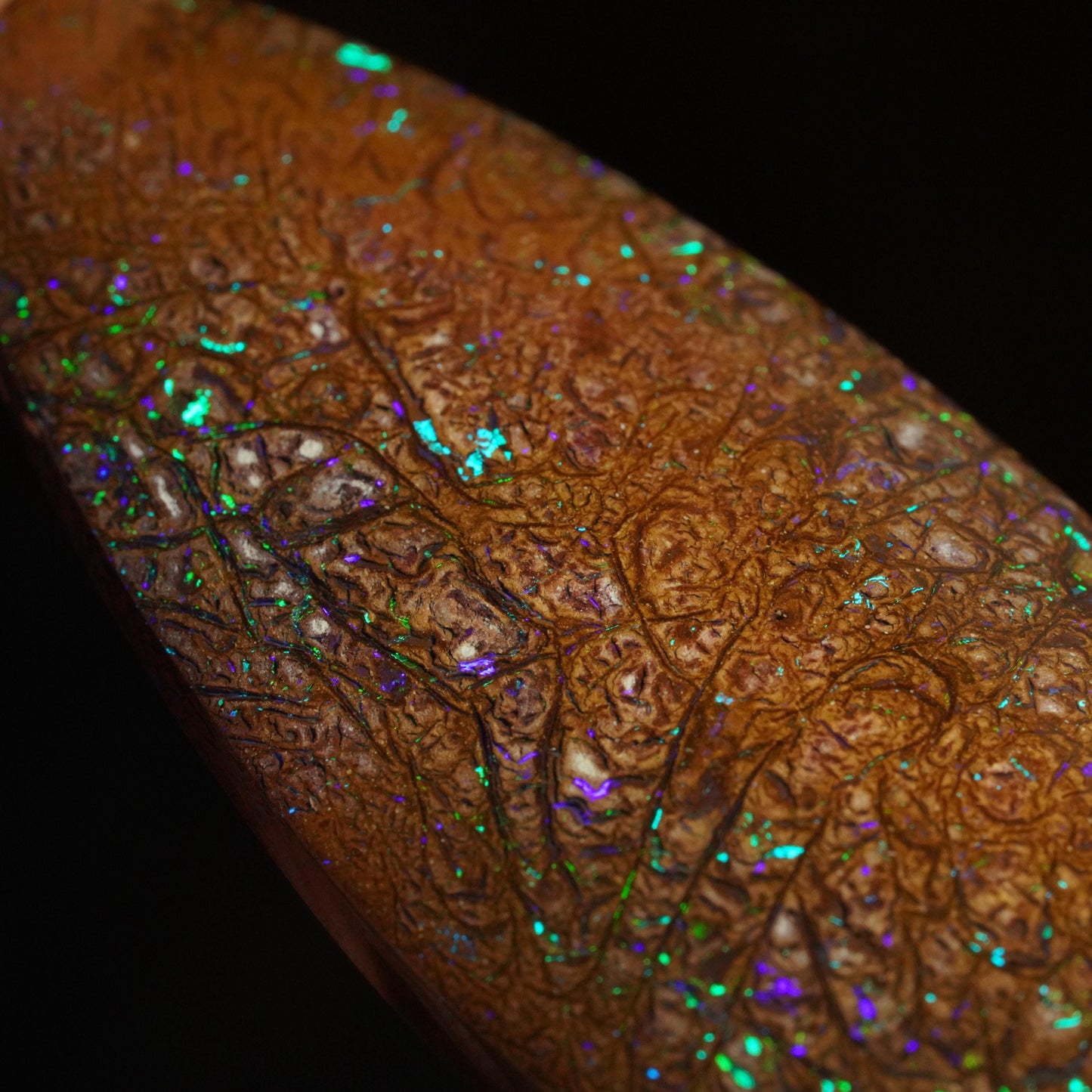 Boulder Opal Cut Stone