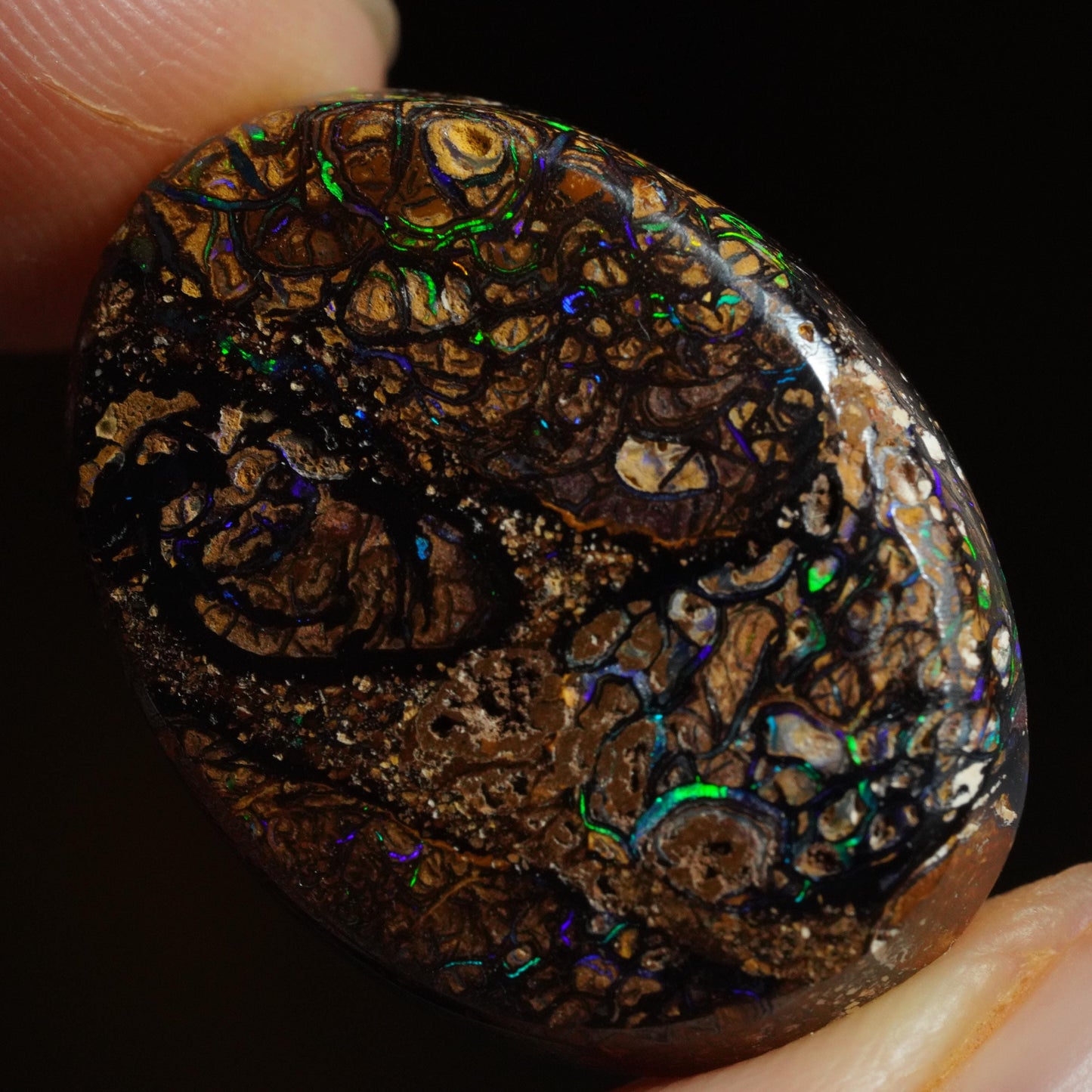 Boulder Opal Cut Stone