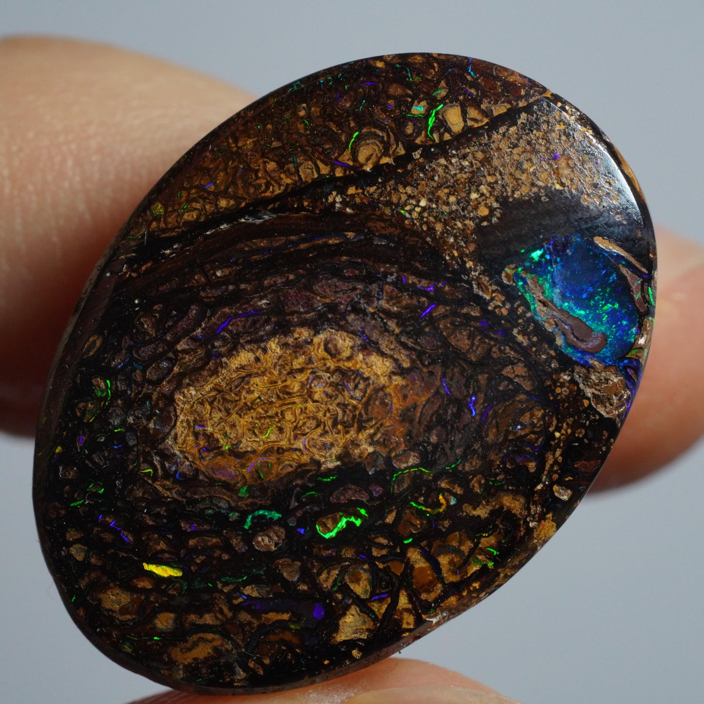 Boulder Opal Cut Stone
