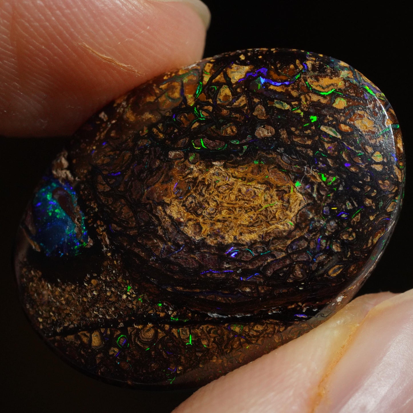 Boulder Opal Cut Stone