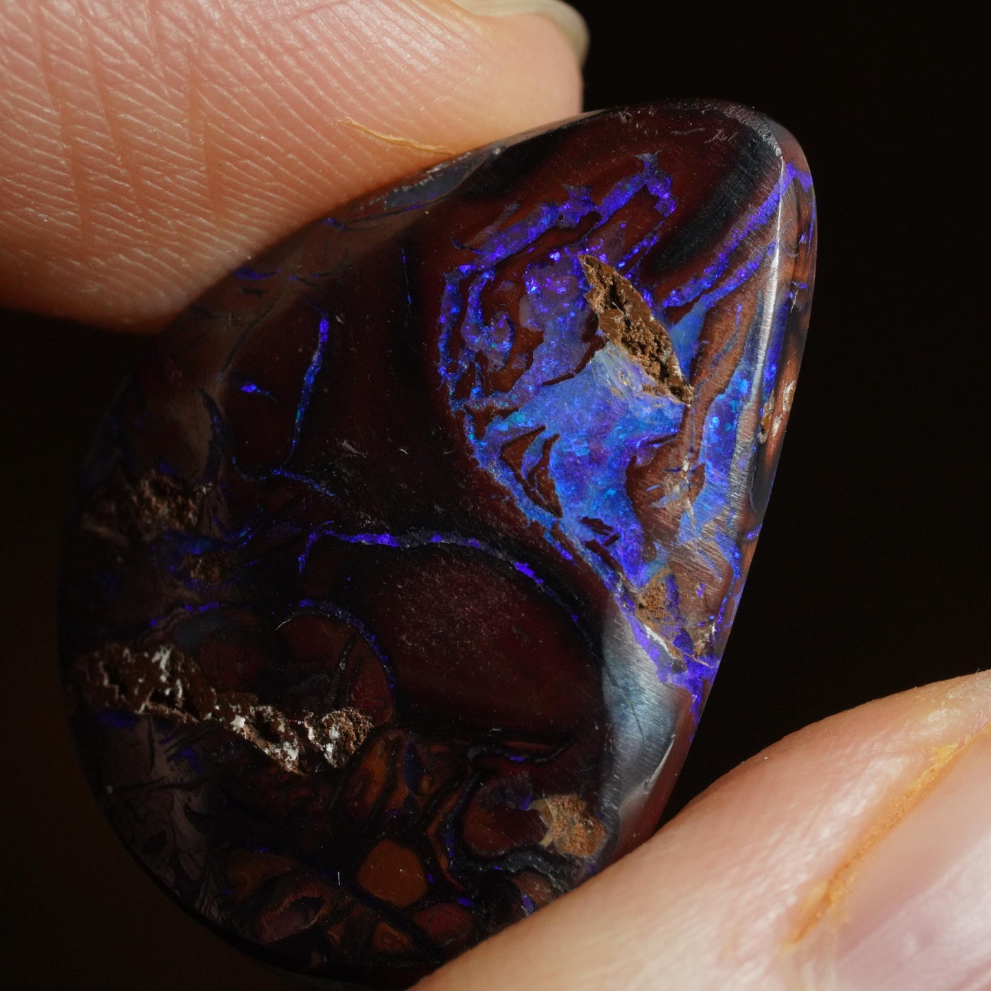 Boulder Opal Cut Stone
