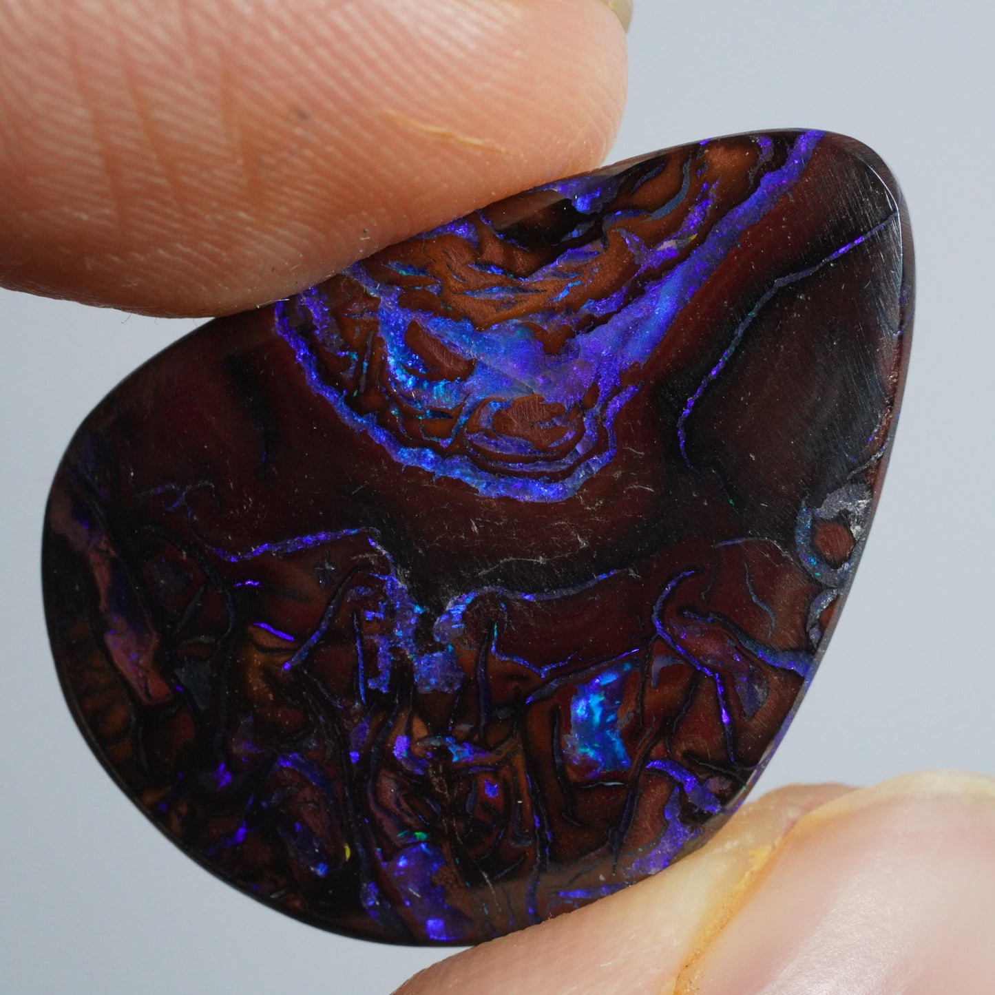 Boulder Opal Cut Stone