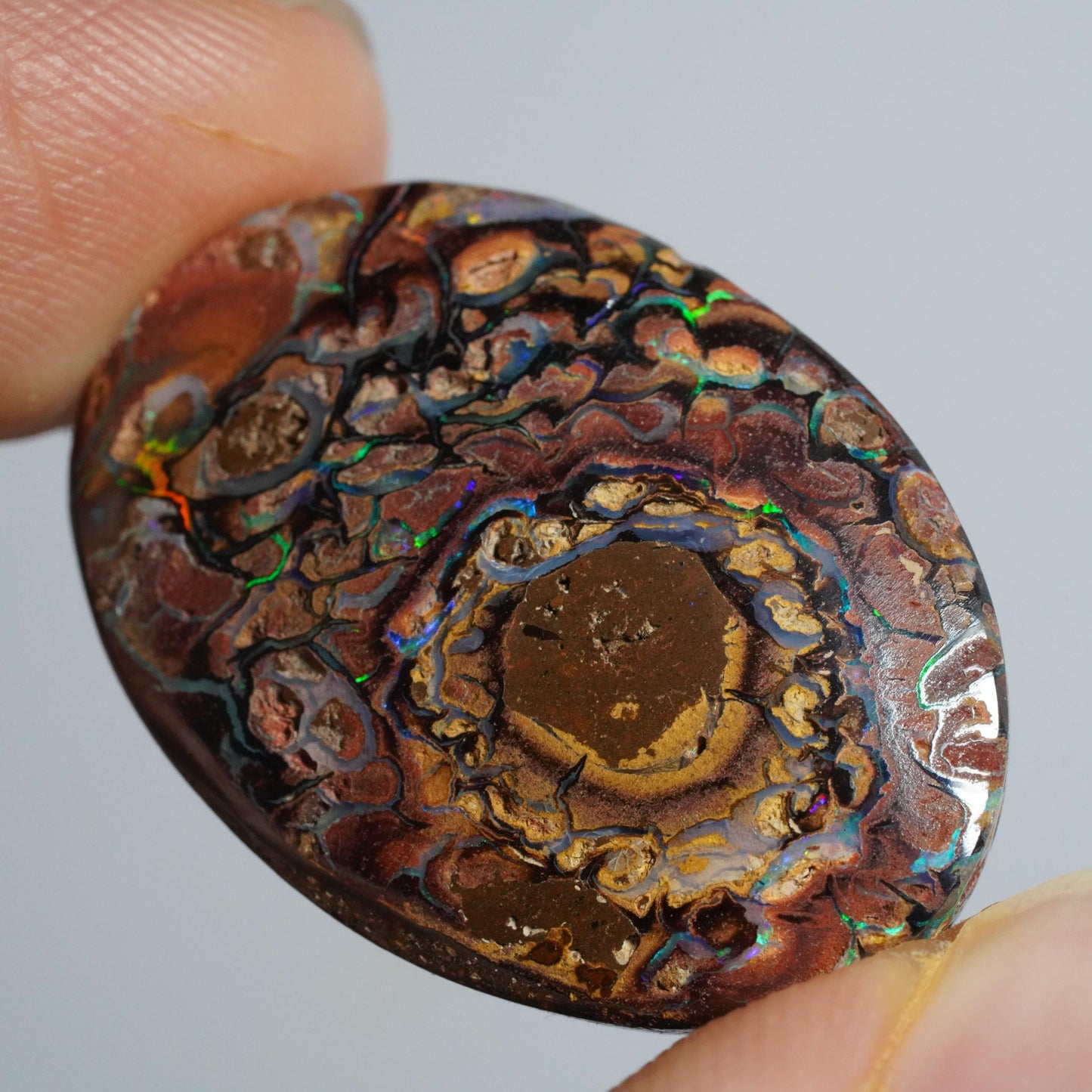 Boulder Opal Cut Stone