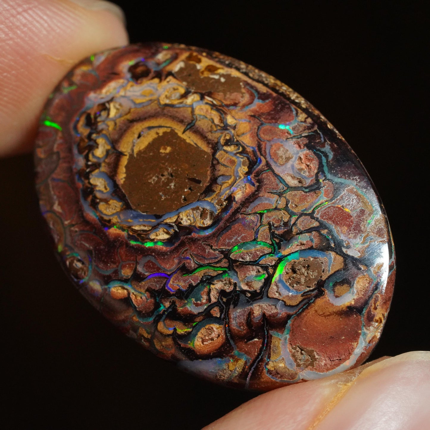 Boulder Opal Cut Stone