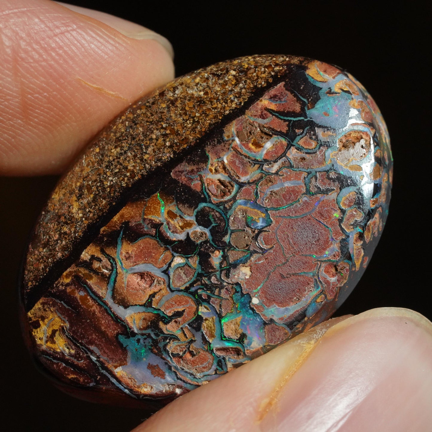 Boulder Opal Cut Stone