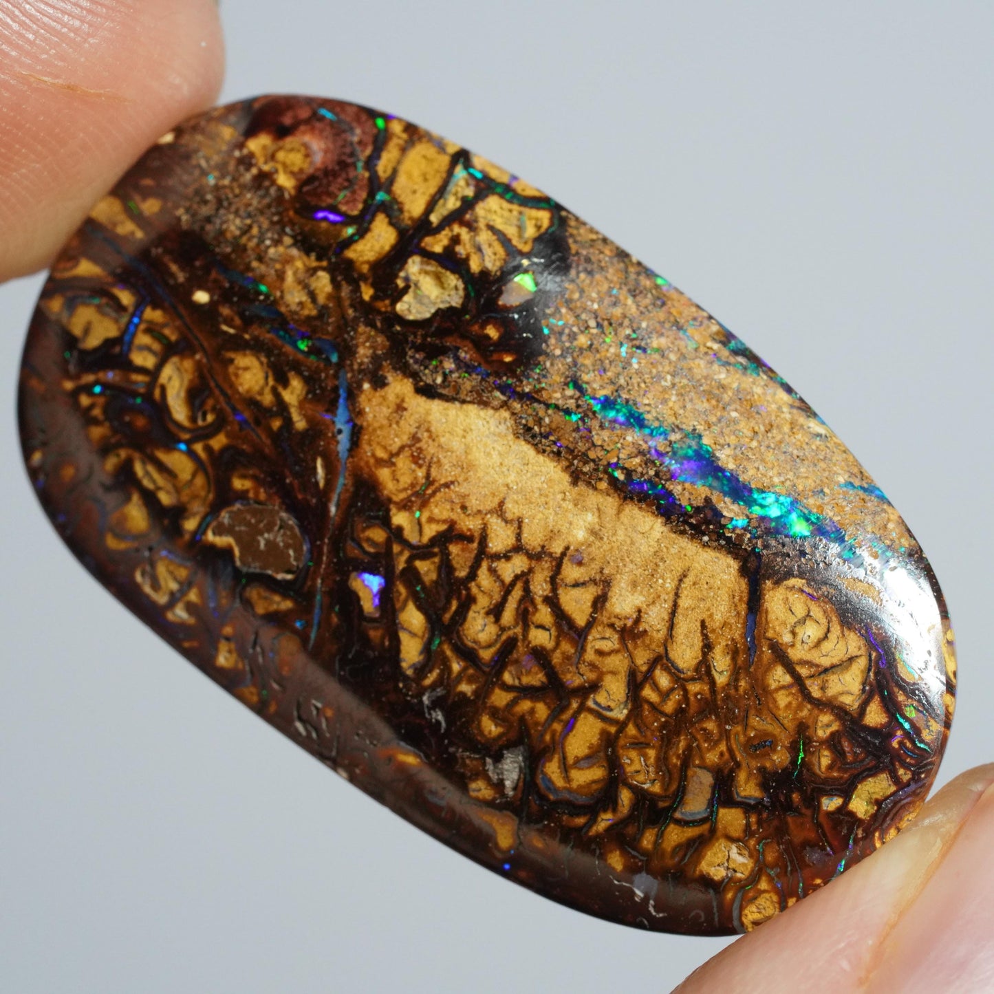 Boulder Opal Cut Stone
