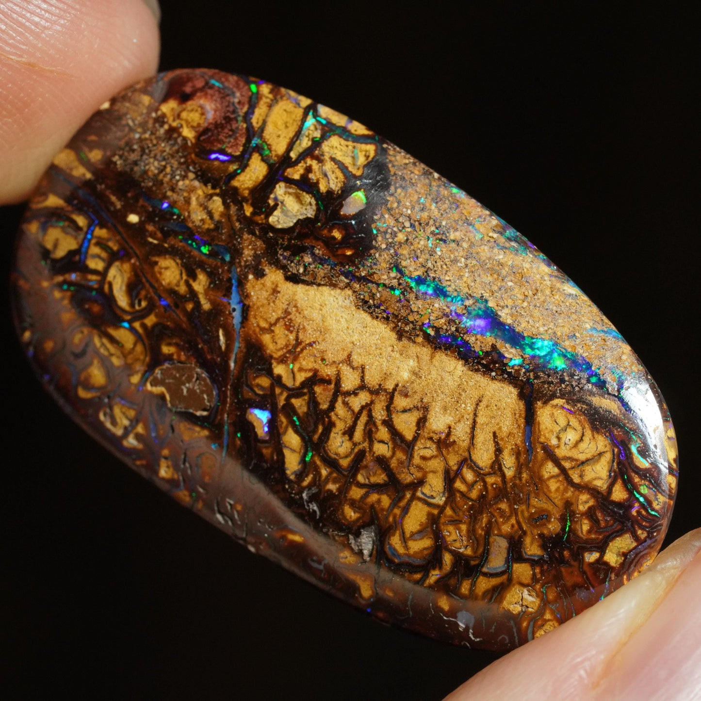 Boulder Opal Cut Stone