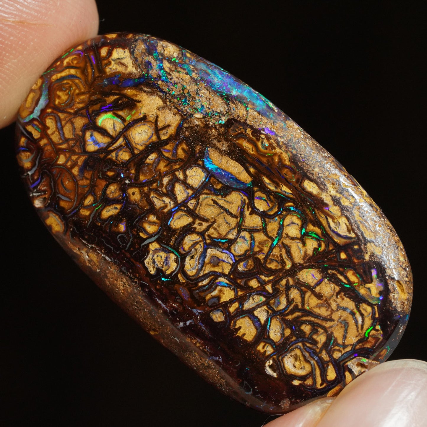 Boulder Opal Cut Stone