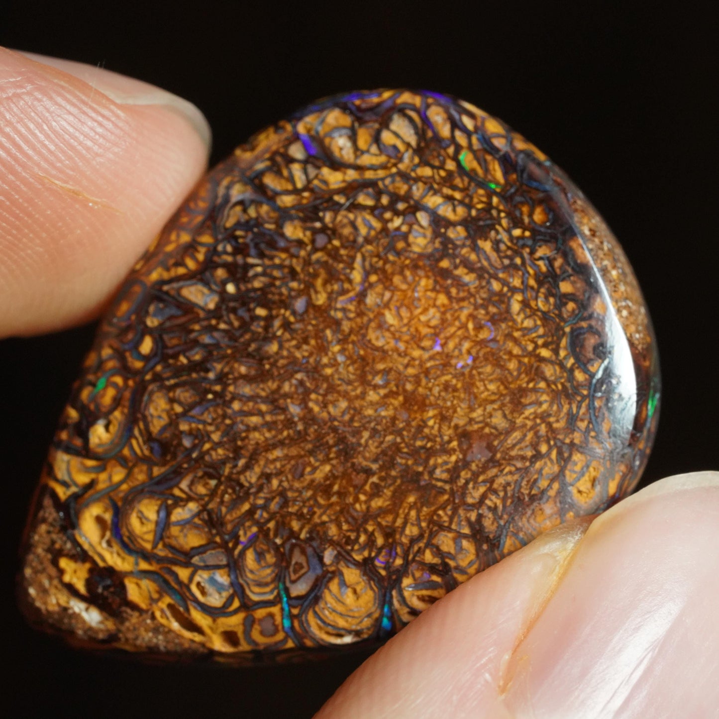 Boulder Opal Cut Stone