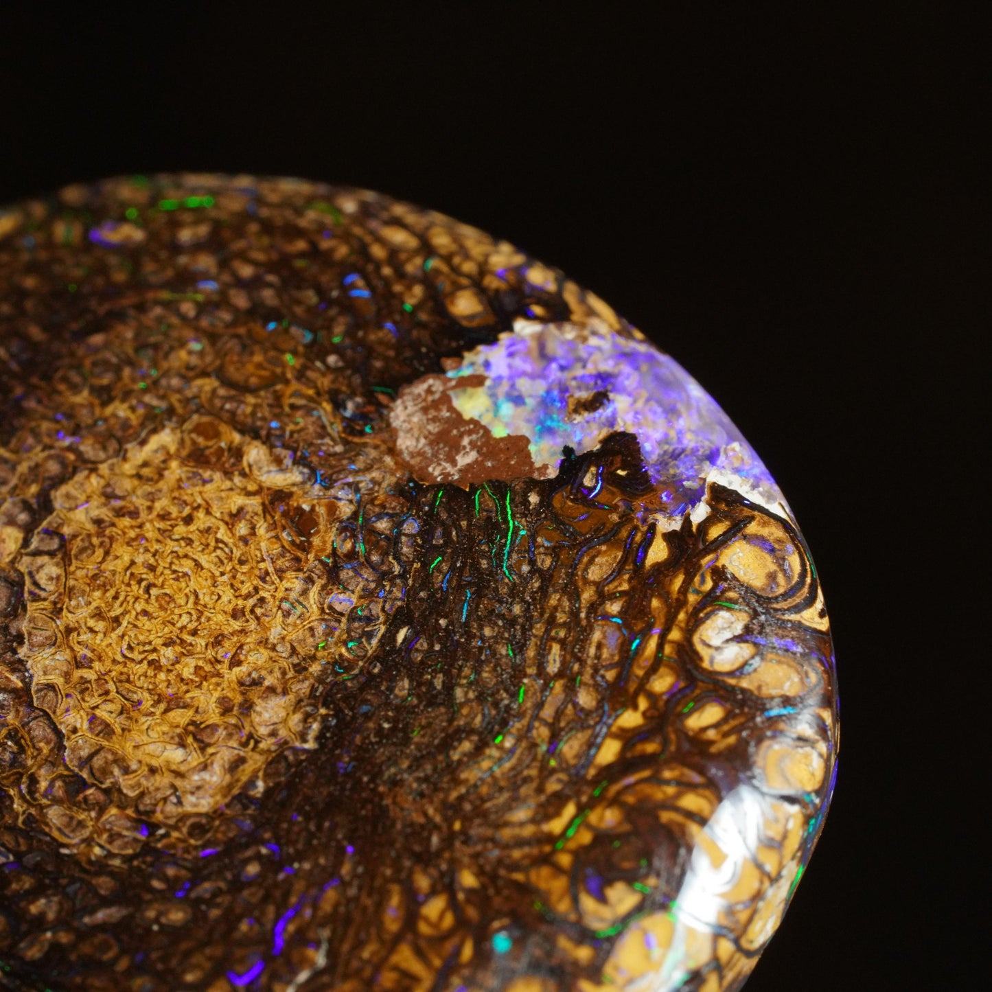 Boulder Opal Cut Stone