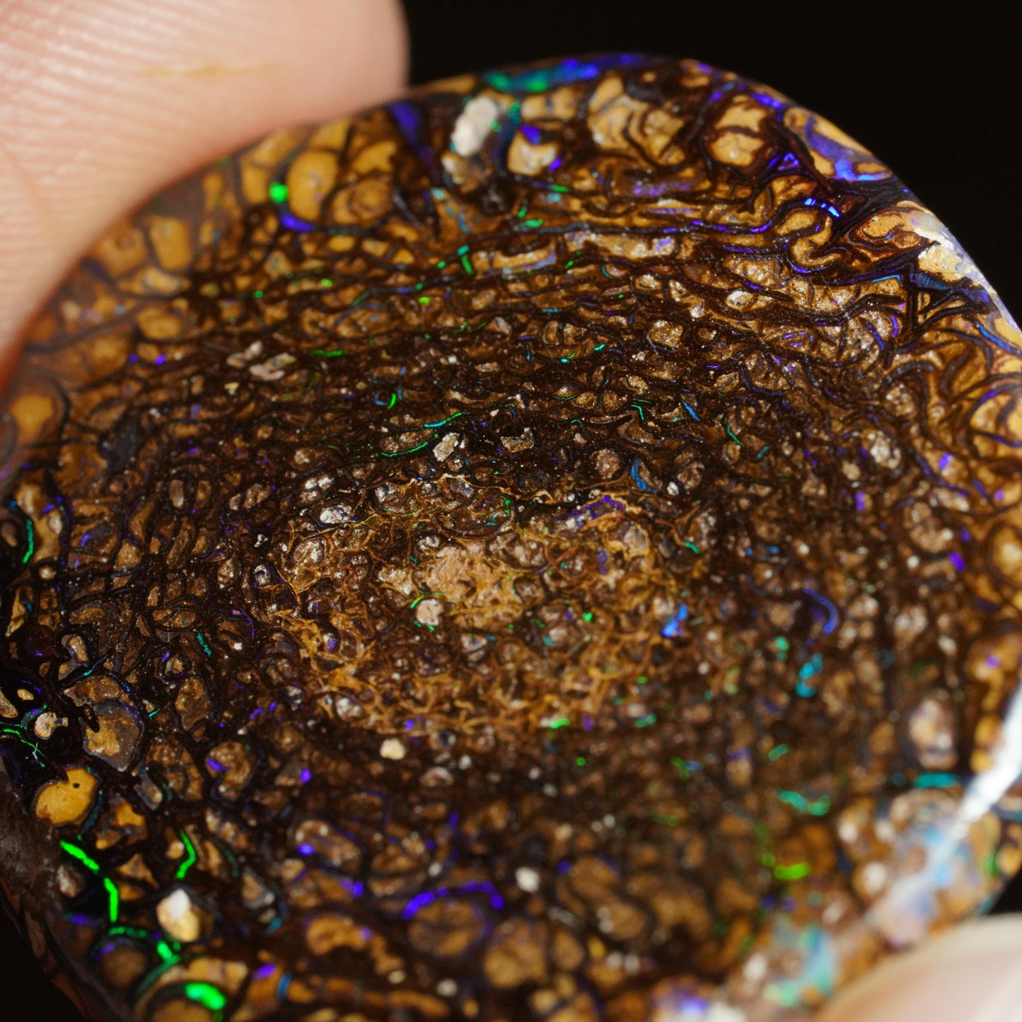 Boulder Opal Cut Stone