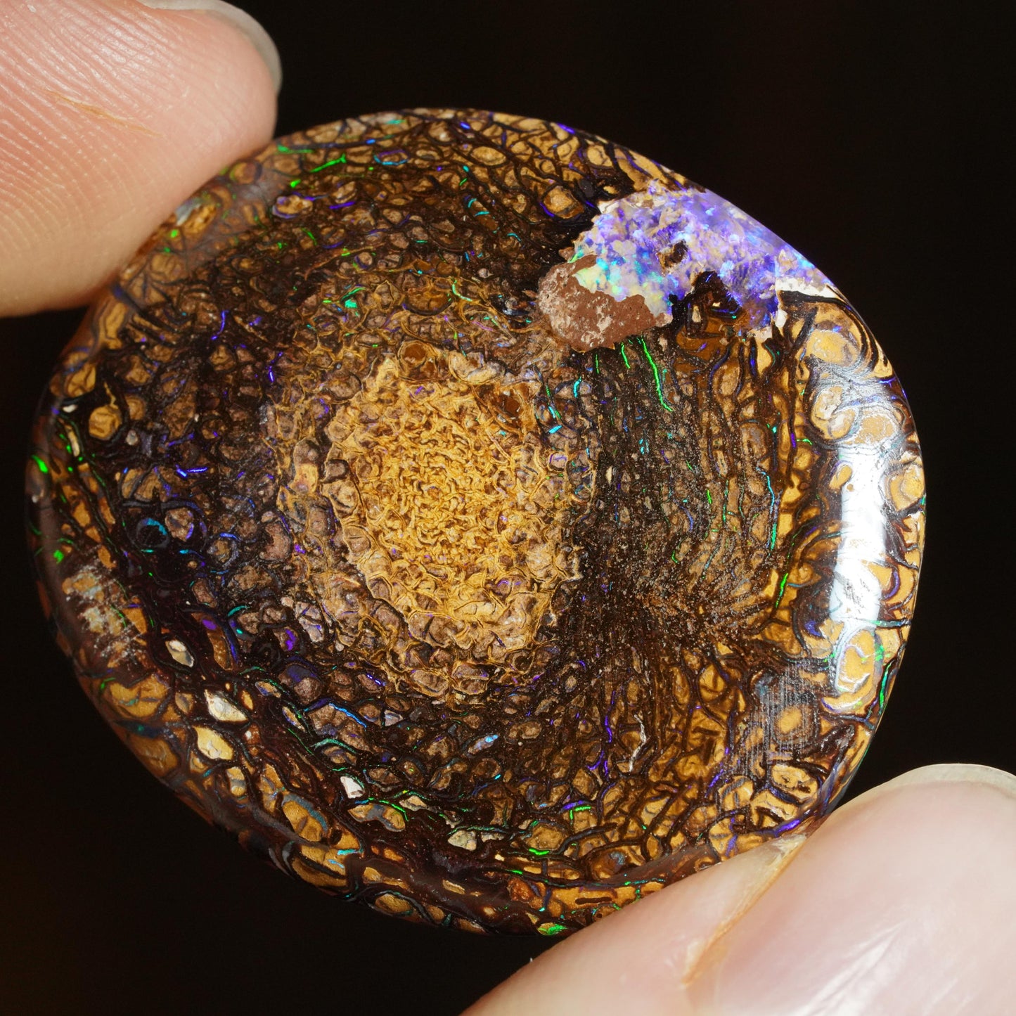 Boulder Opal Cut Stone