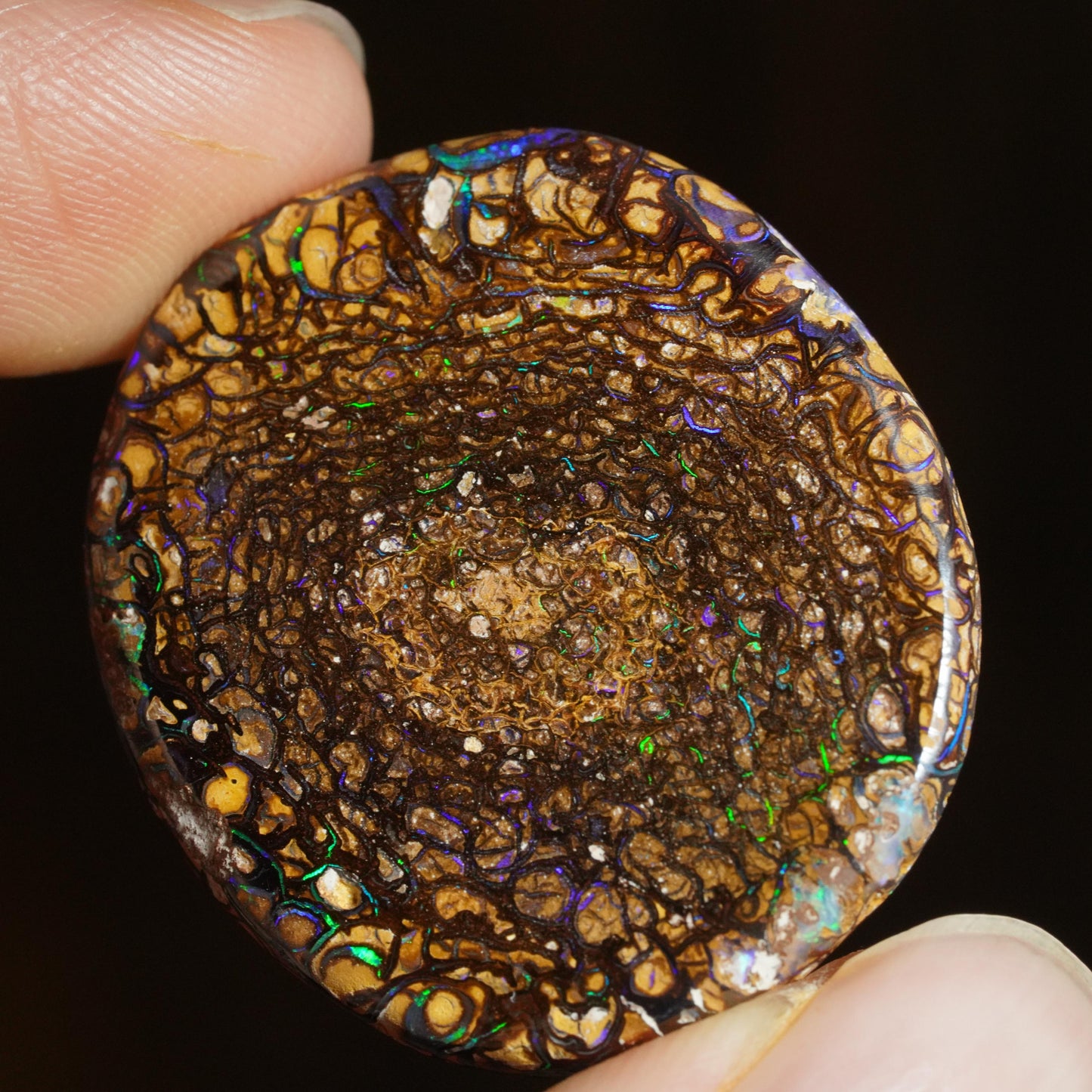 Boulder Opal Cut Stone