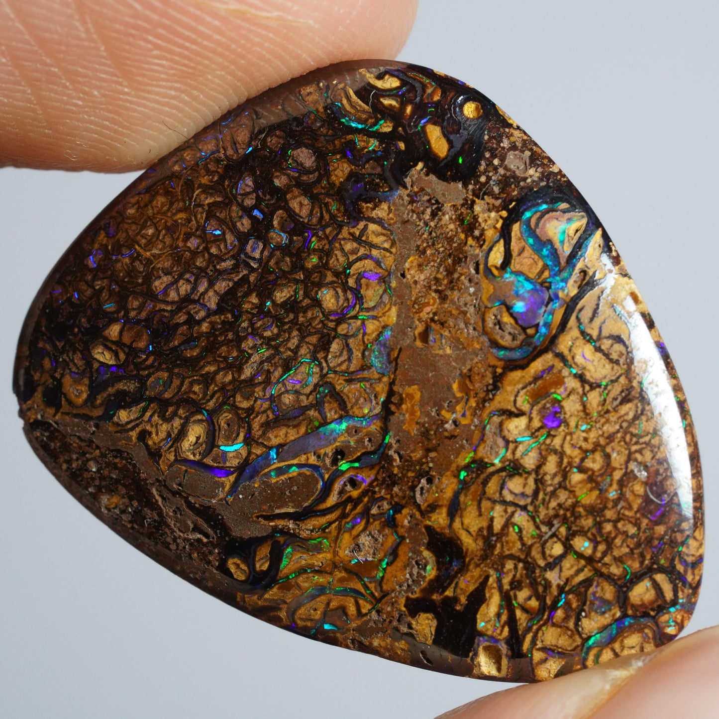 Boulder Opal Cut Stone