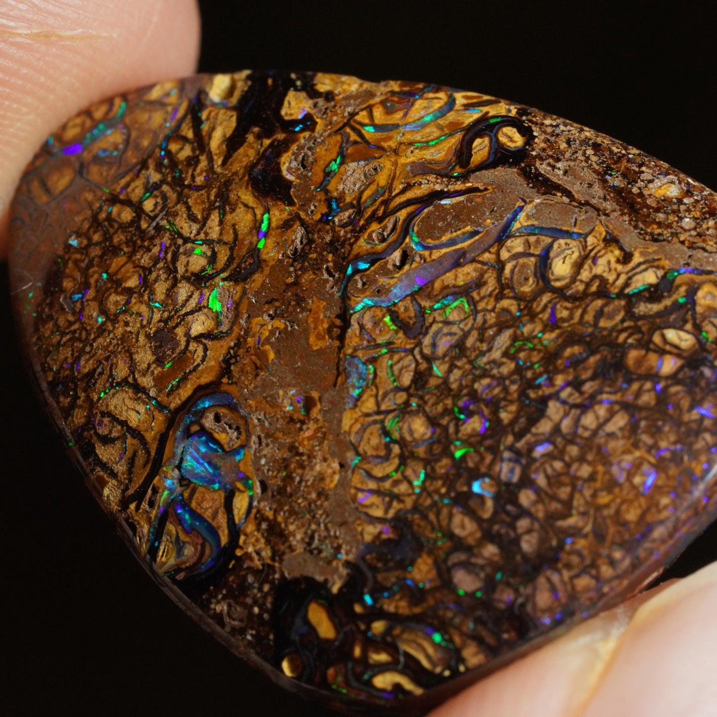 Boulder Opal Cut Stone