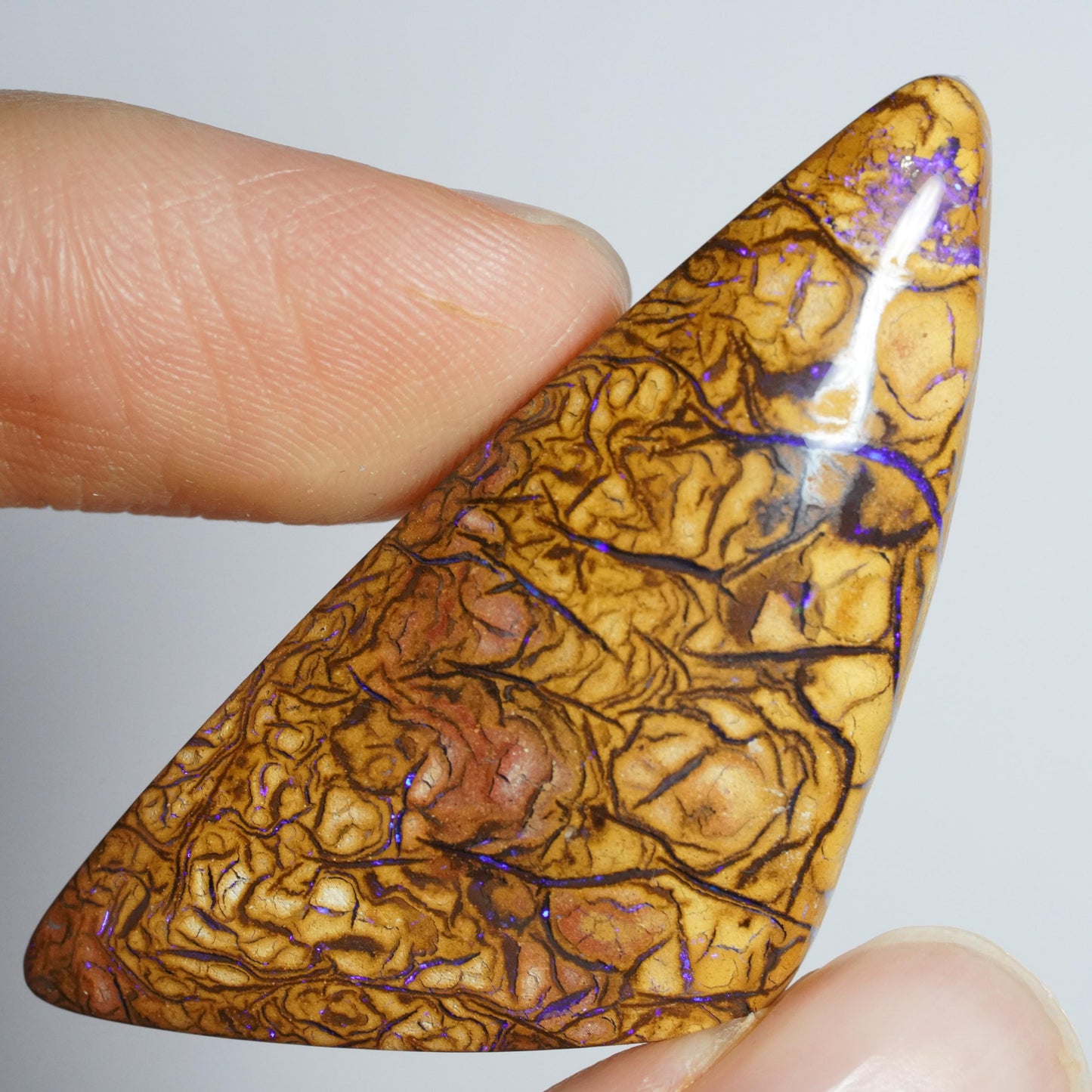 Boulder Opal Cut Stone