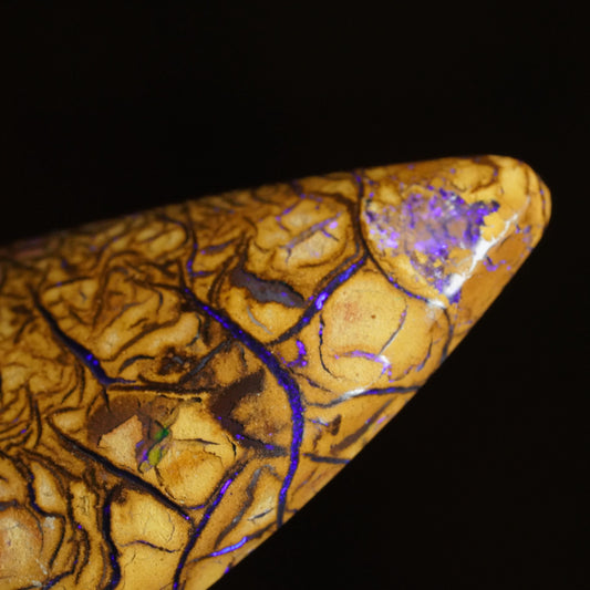 Boulder Opal Cut Stone