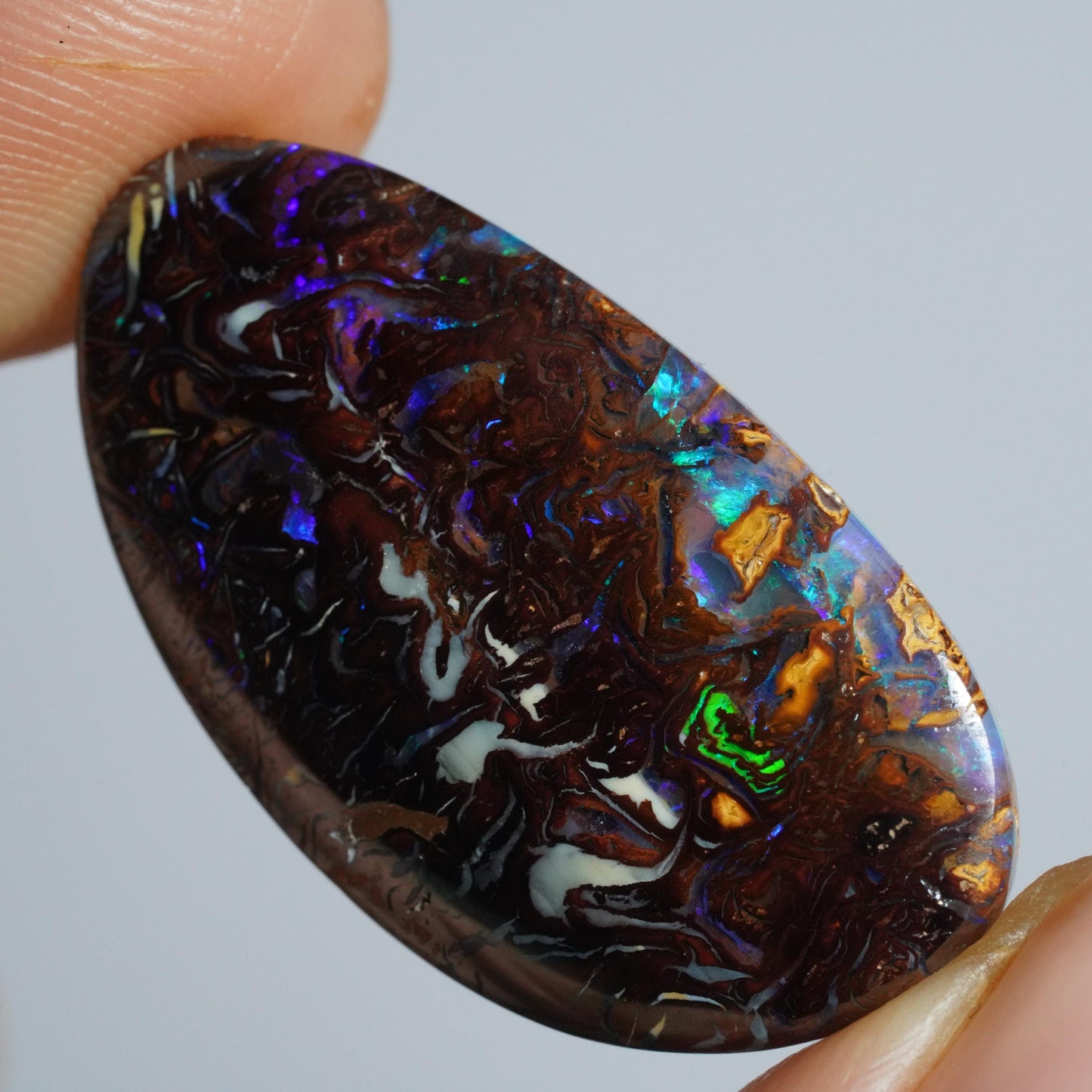 Boulder Opal Cut Stone