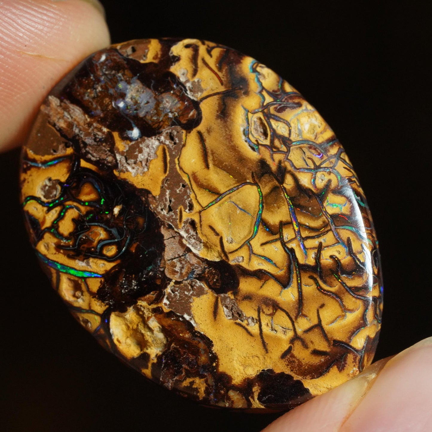 Boulder Opal Cut Stone