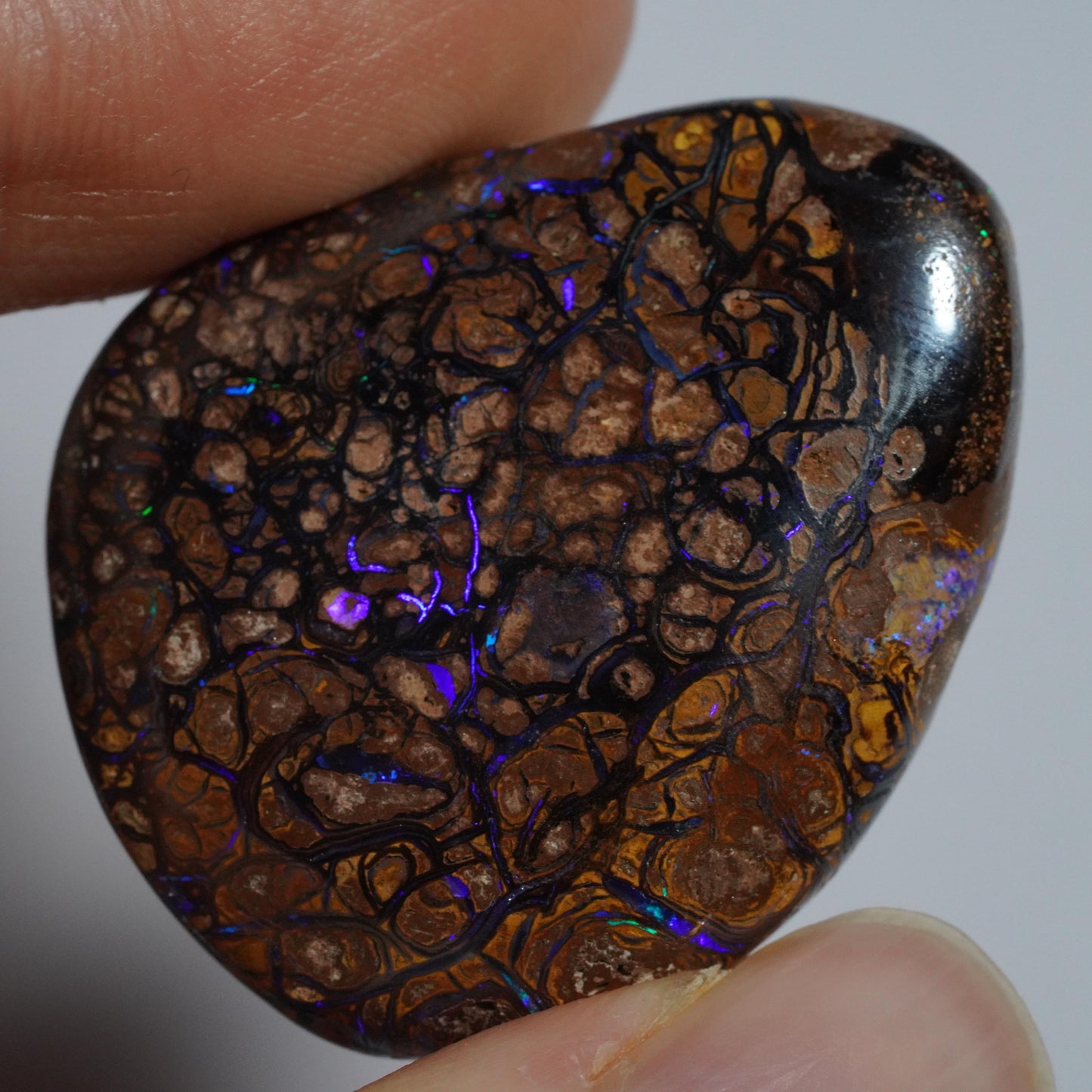 Boulder Opal Cut Stone