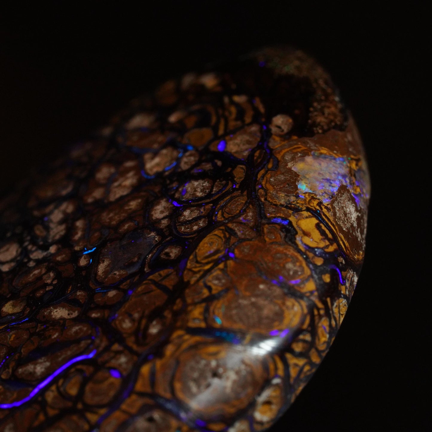 Boulder Opal Cut Stone