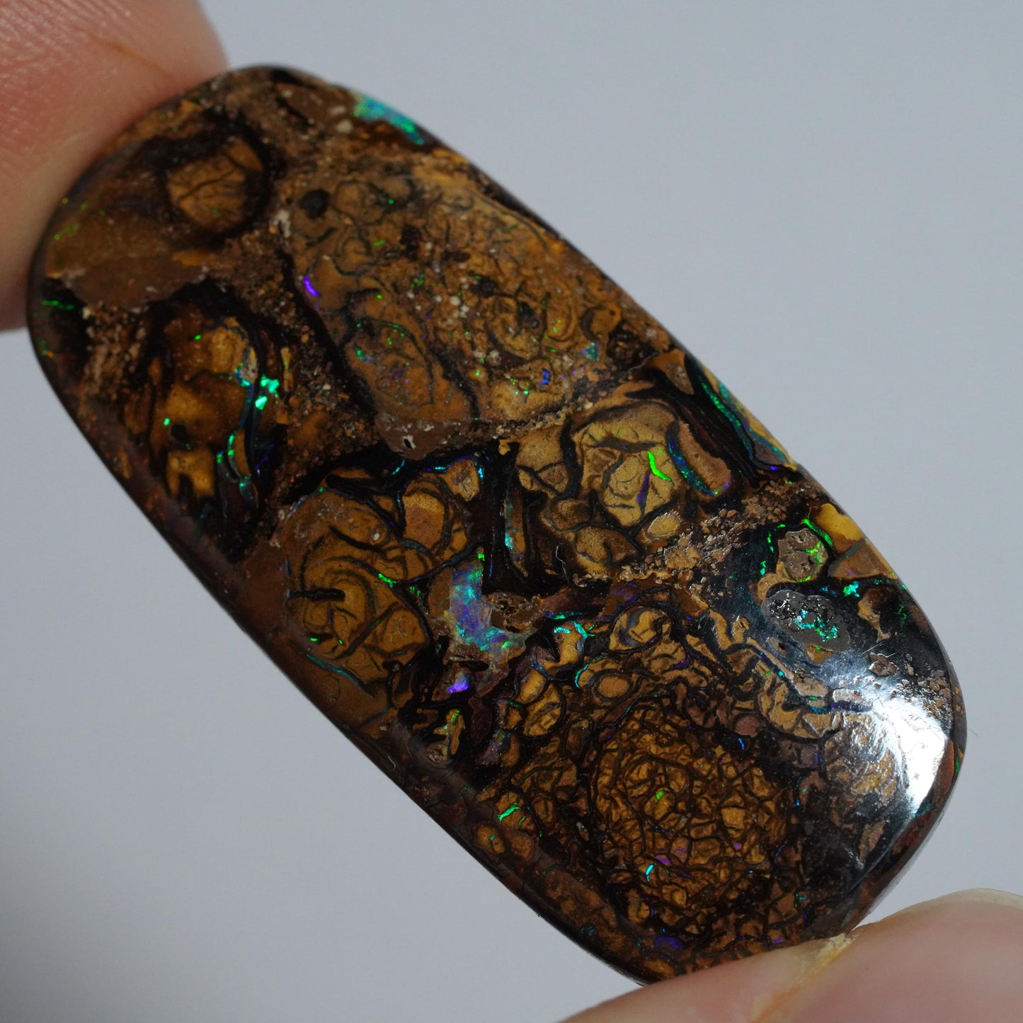 Boulder Opal Cut Stone