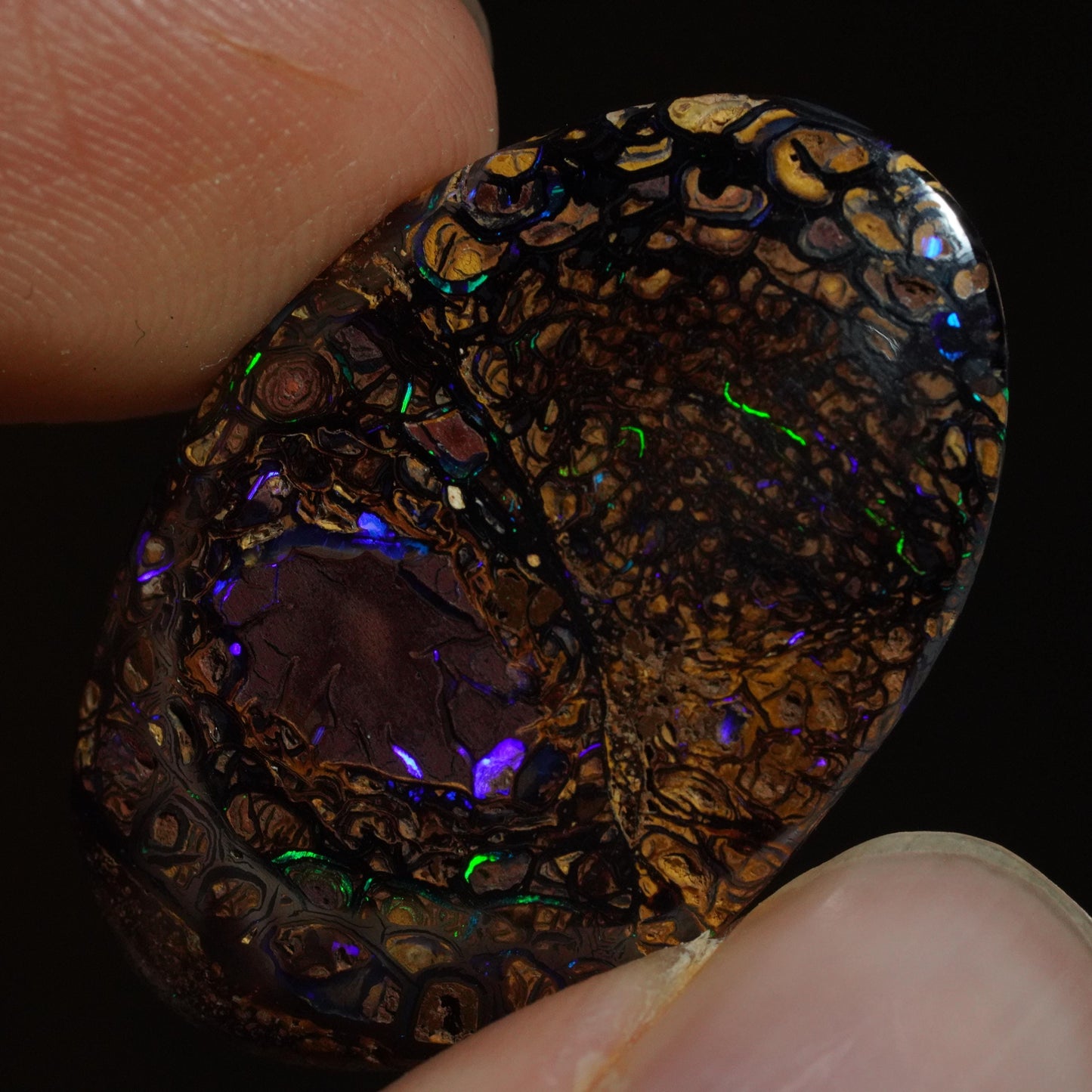 Boulder Opal Cut Stone
