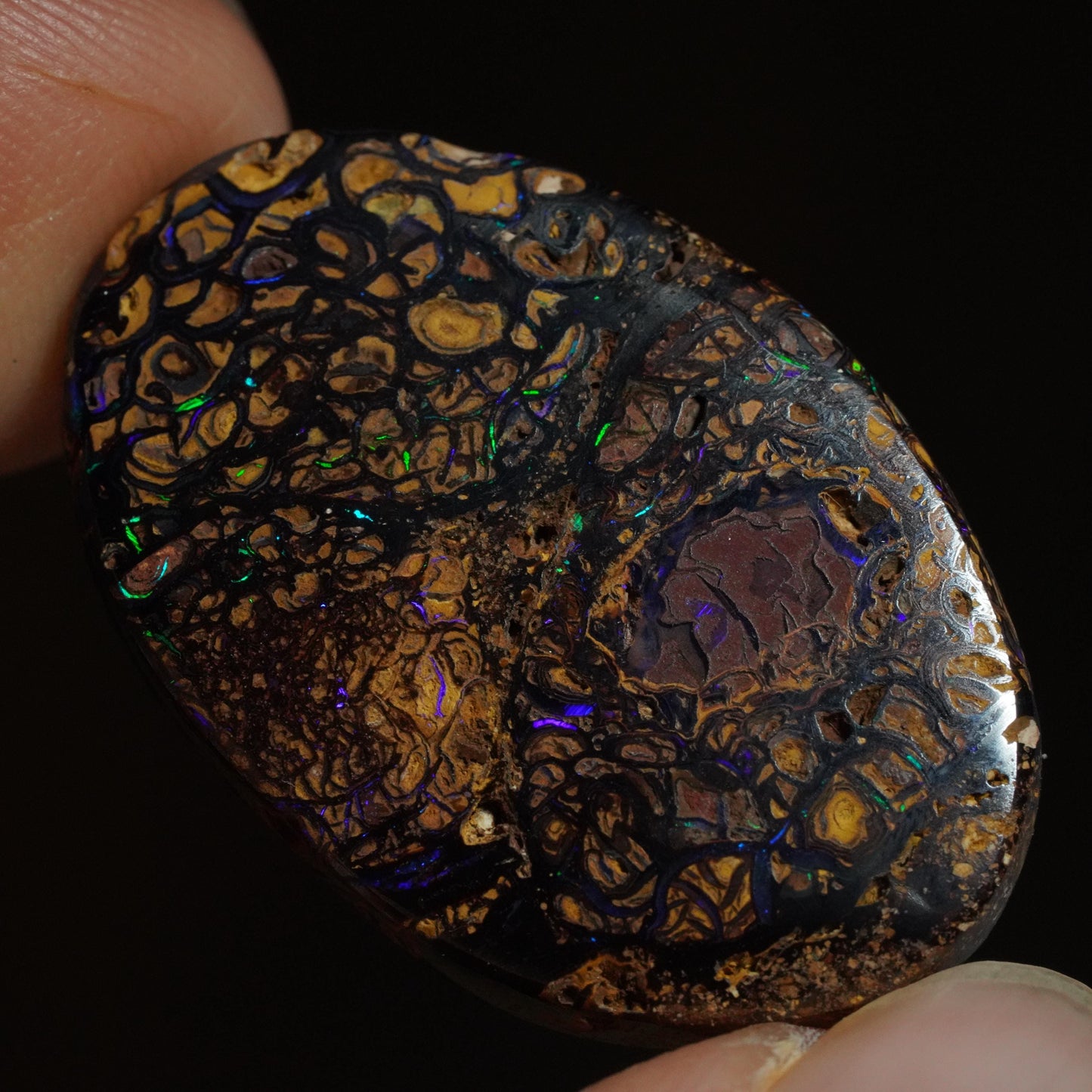 Boulder Opal Cut Stone