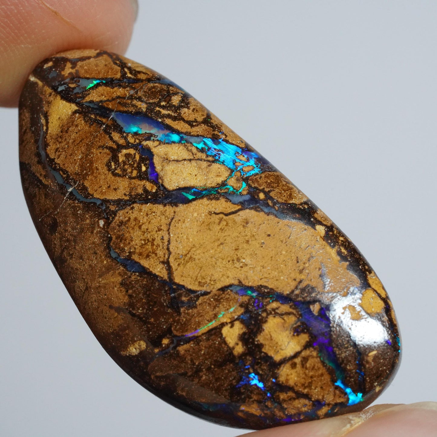 Boulder Opal Cut Stone