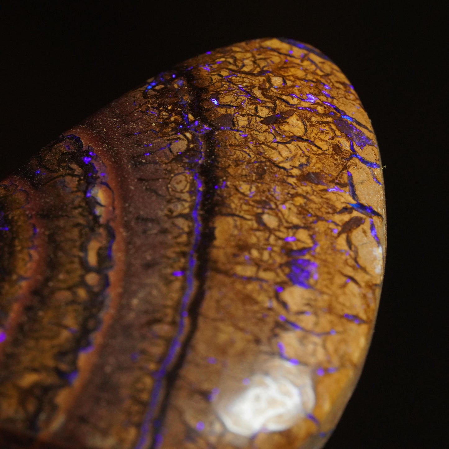 Boulder Opal Cut Stone