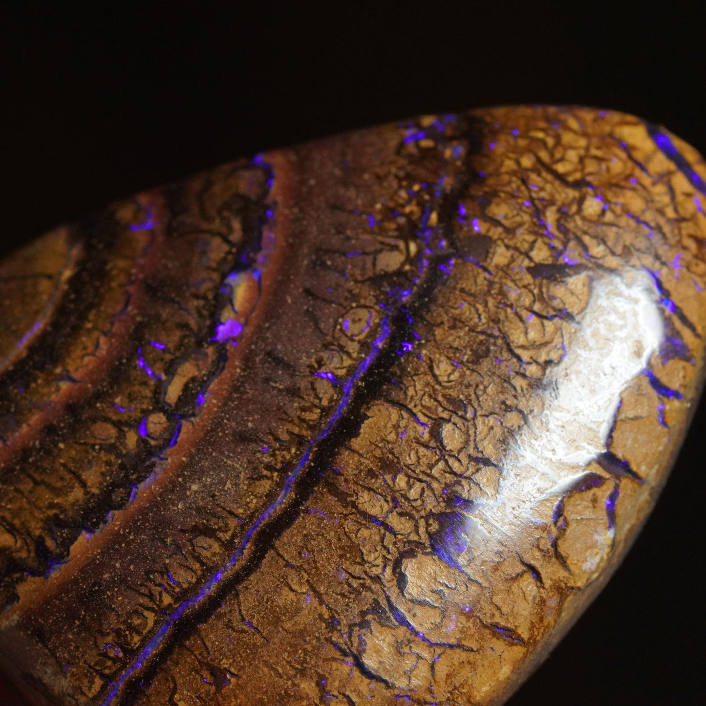 Boulder Opal Cut Stone