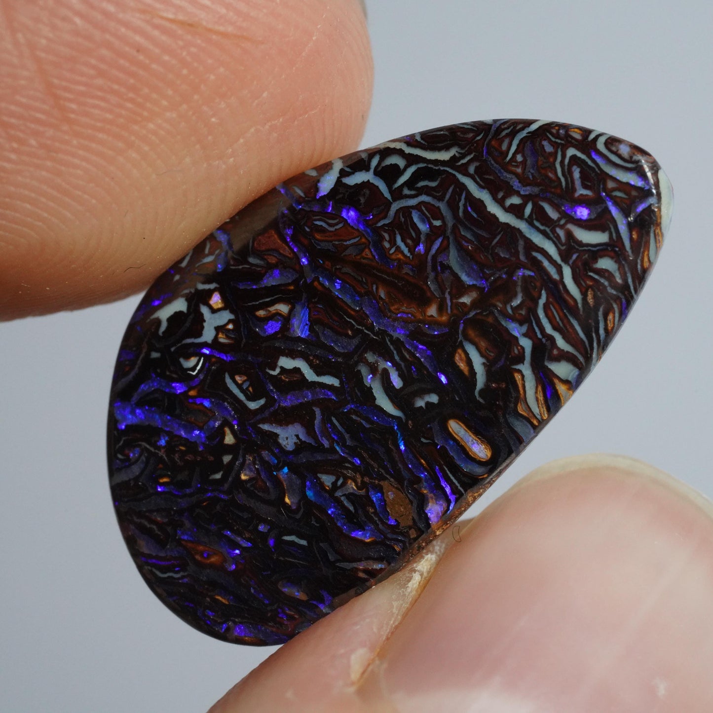 Boulder Opal Cut Stone
