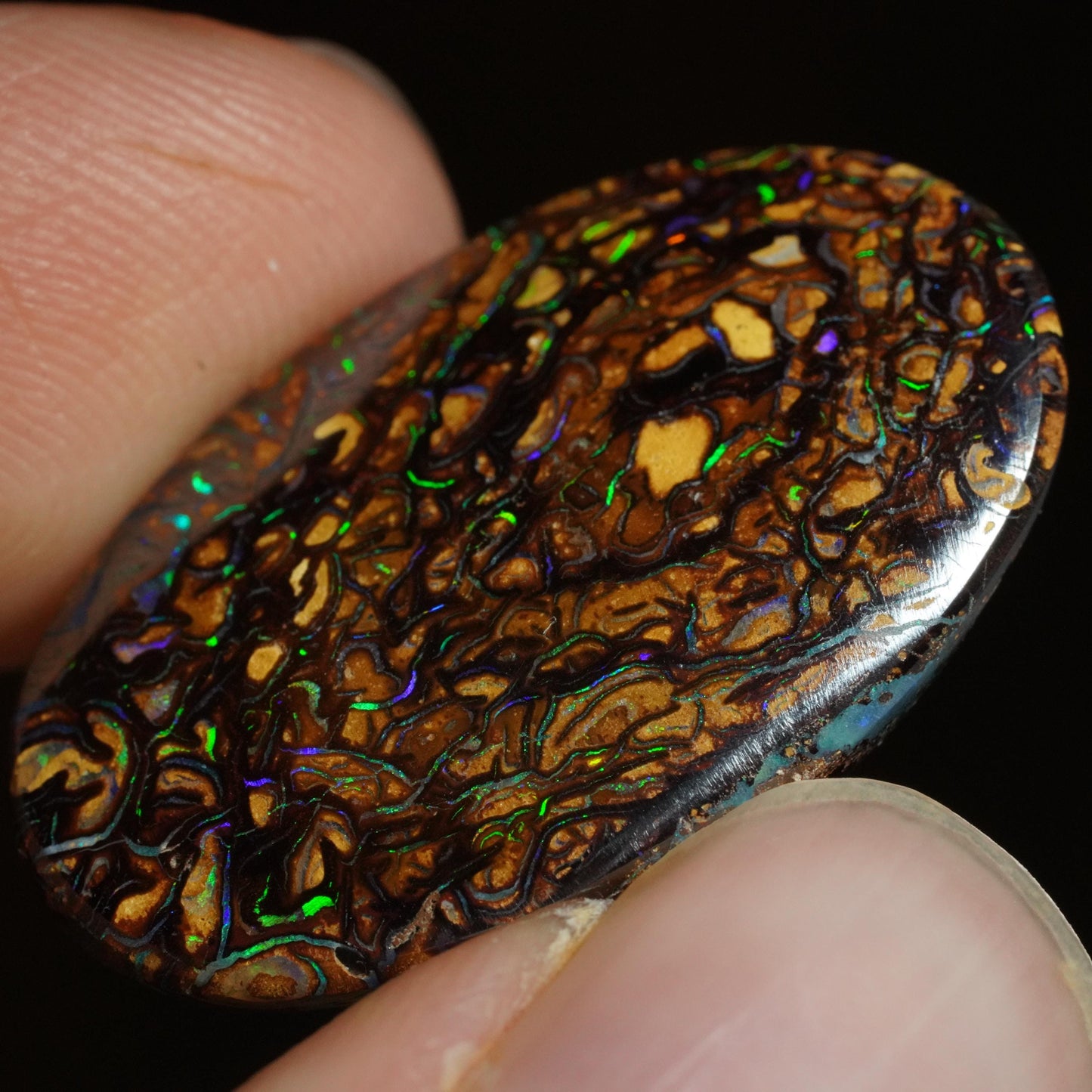 Boulder Opal Cut Stone