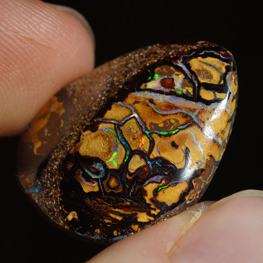 Boulder Opal Cut Stone