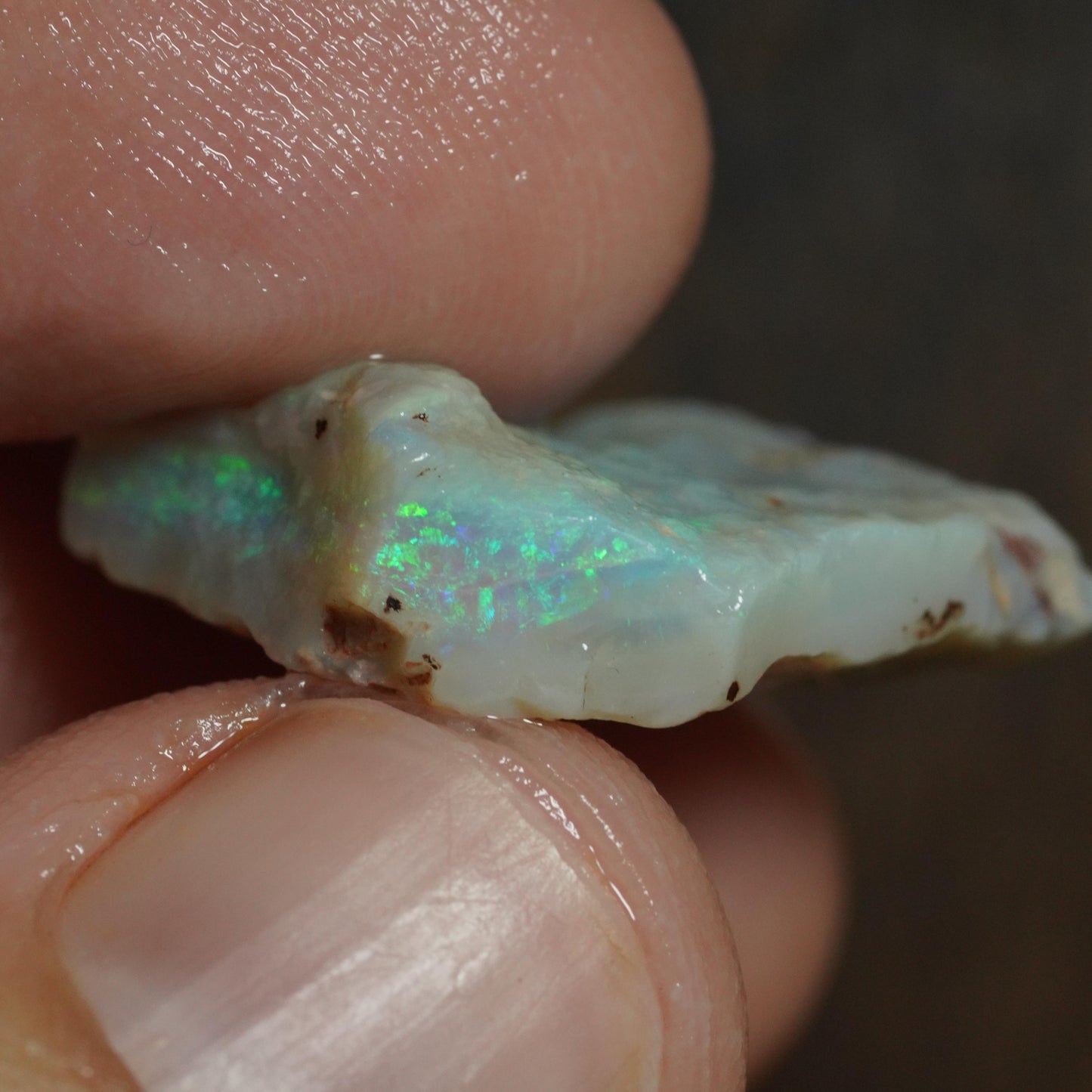 Australian Rough Opal