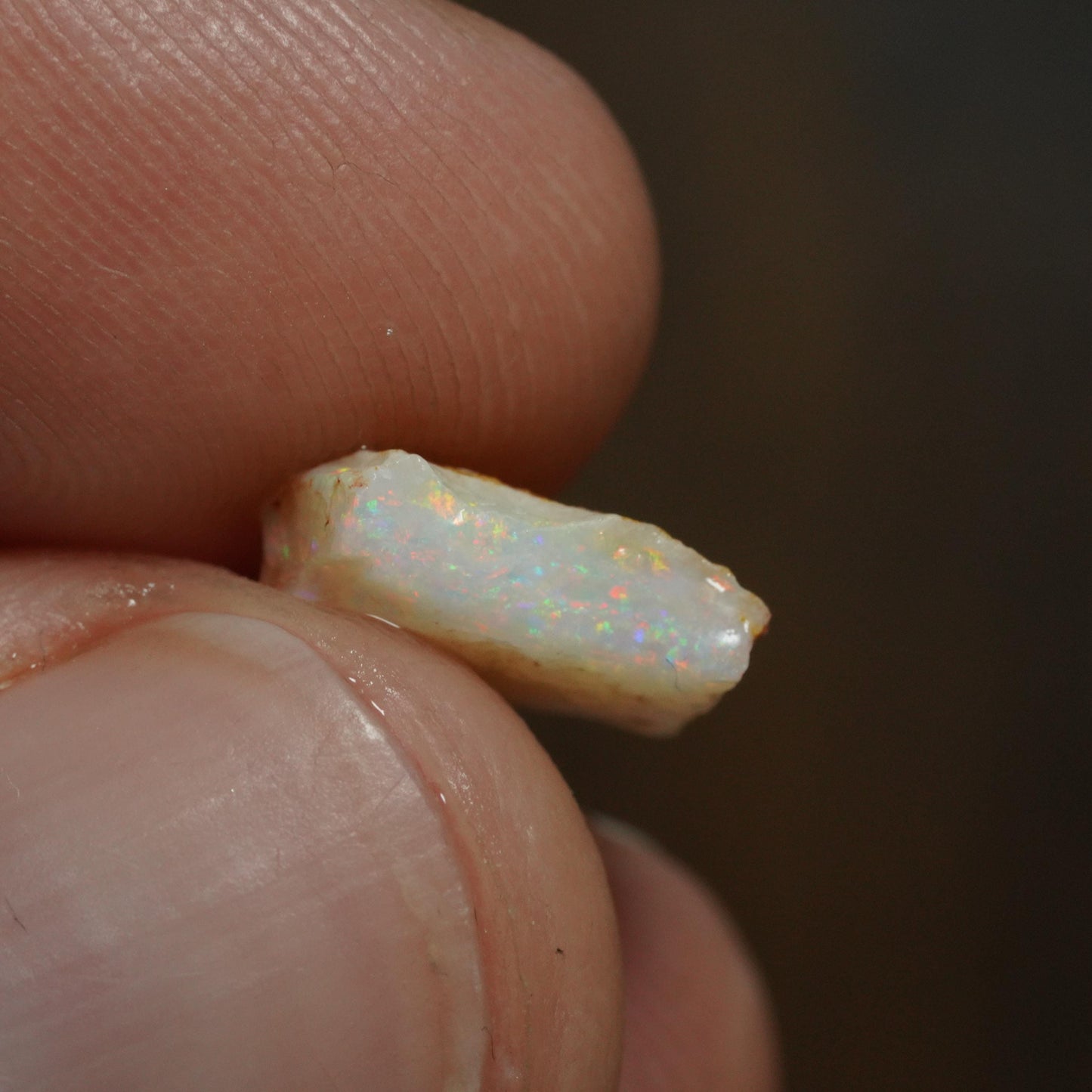 Australian Rough Opal