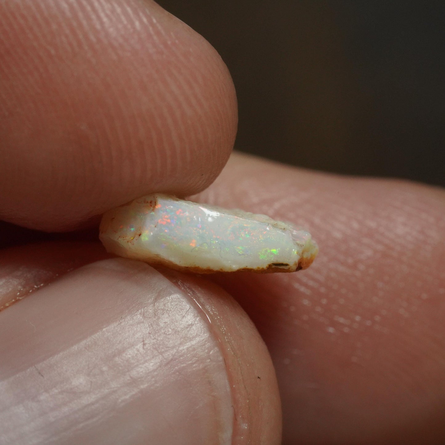 Australian Rough Opal