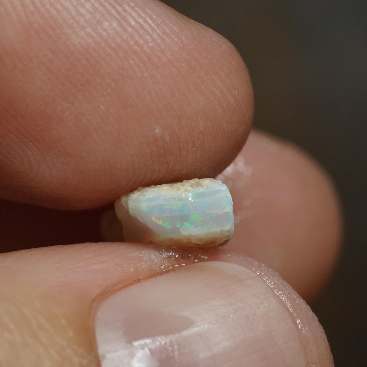 Australian Rough Opal