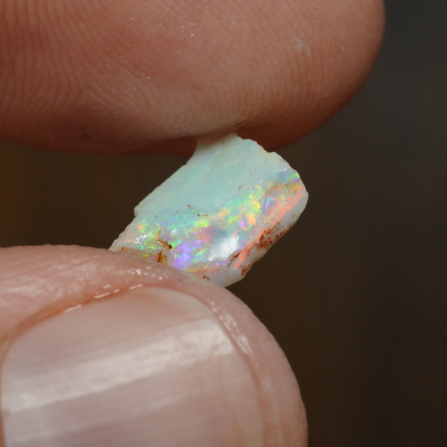 Australian Rough Opal