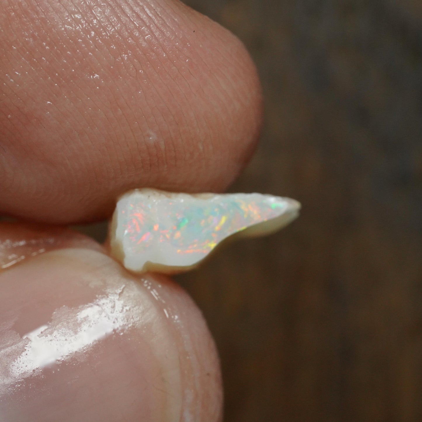Australian Rough Opal