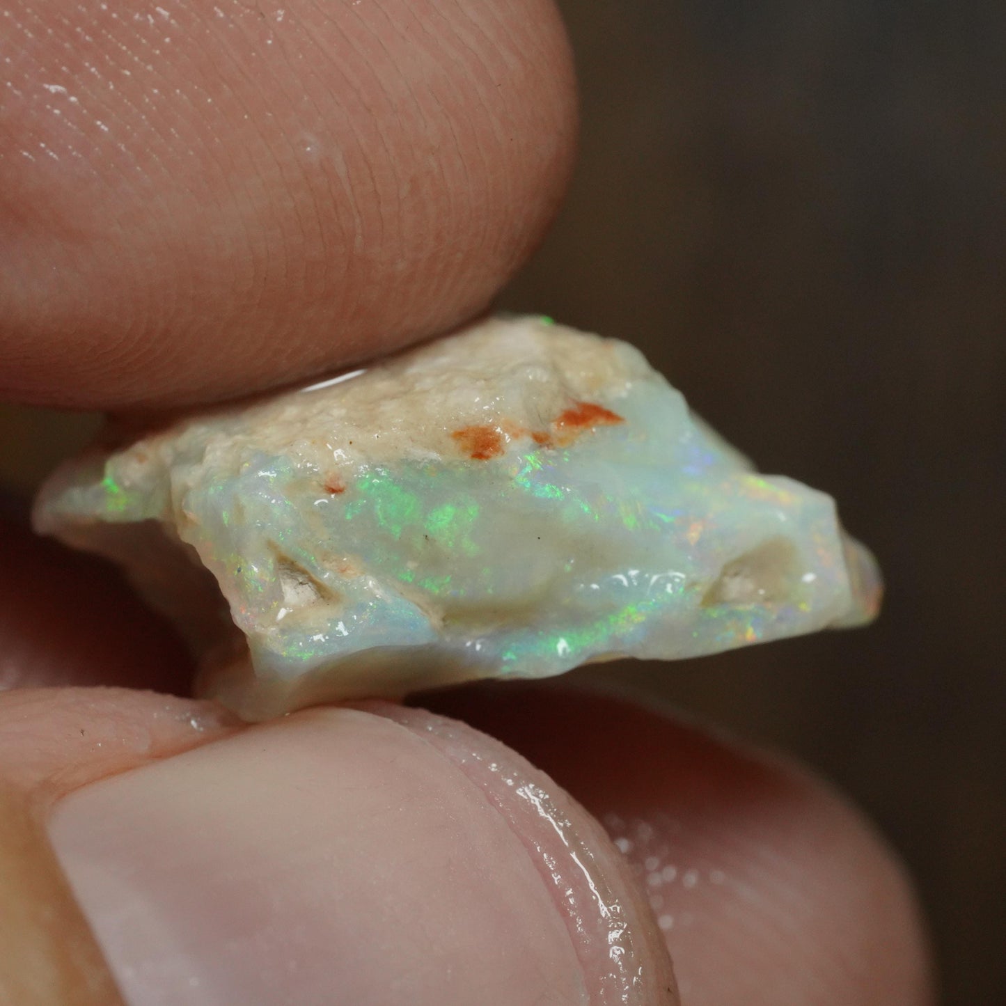 Australian Rough Opal