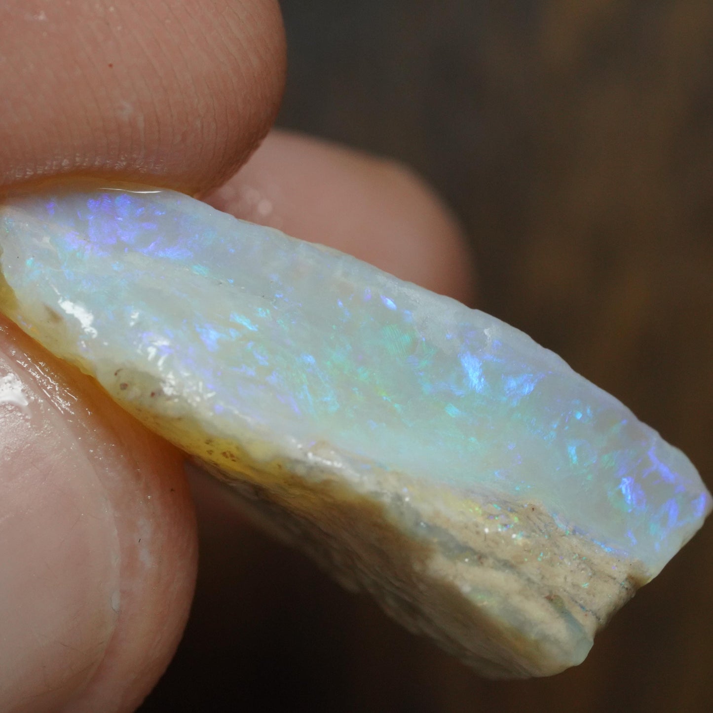 Australian Rough Opal
